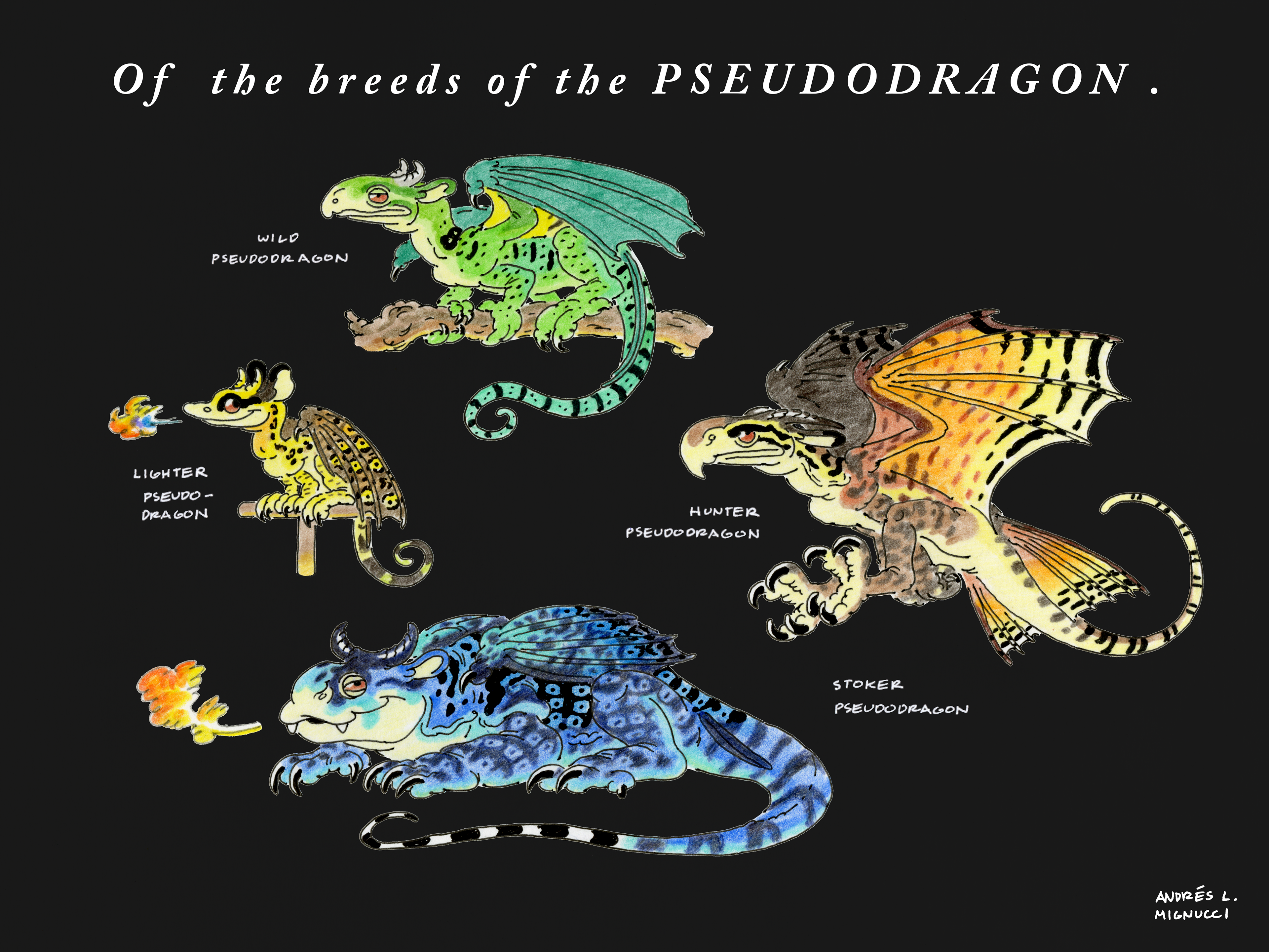 Pseudodragon Breeds
