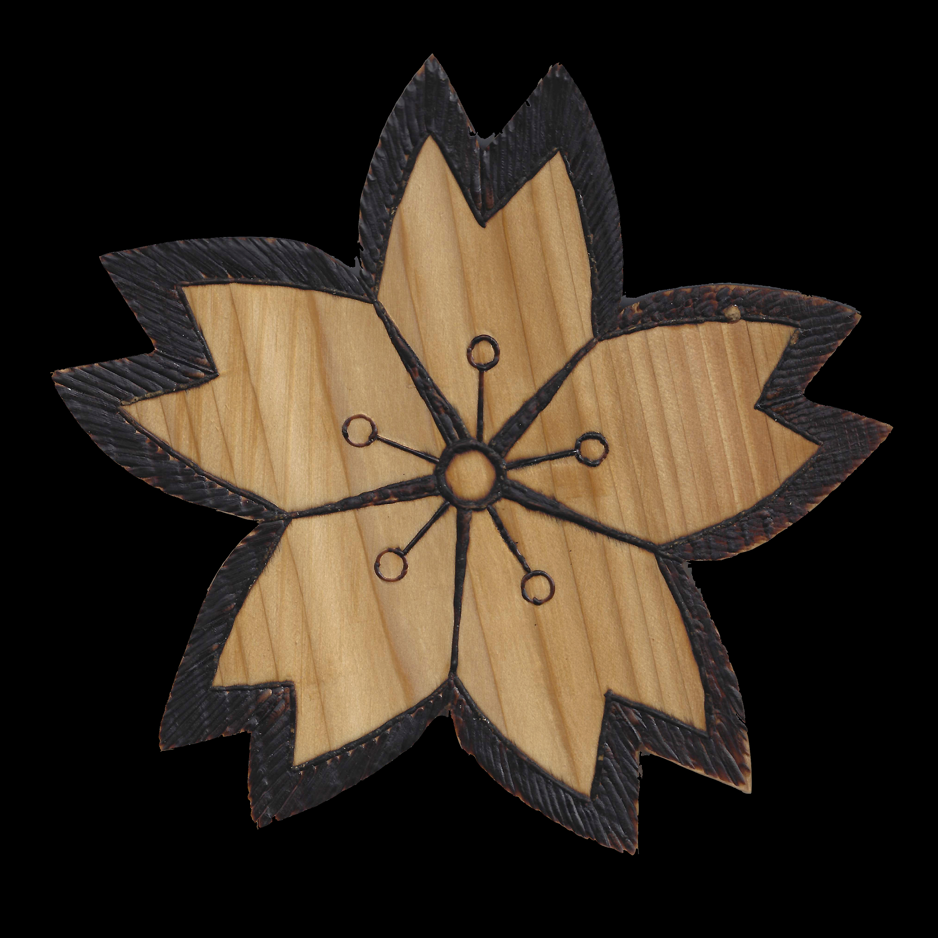 Fleur de Cerisier