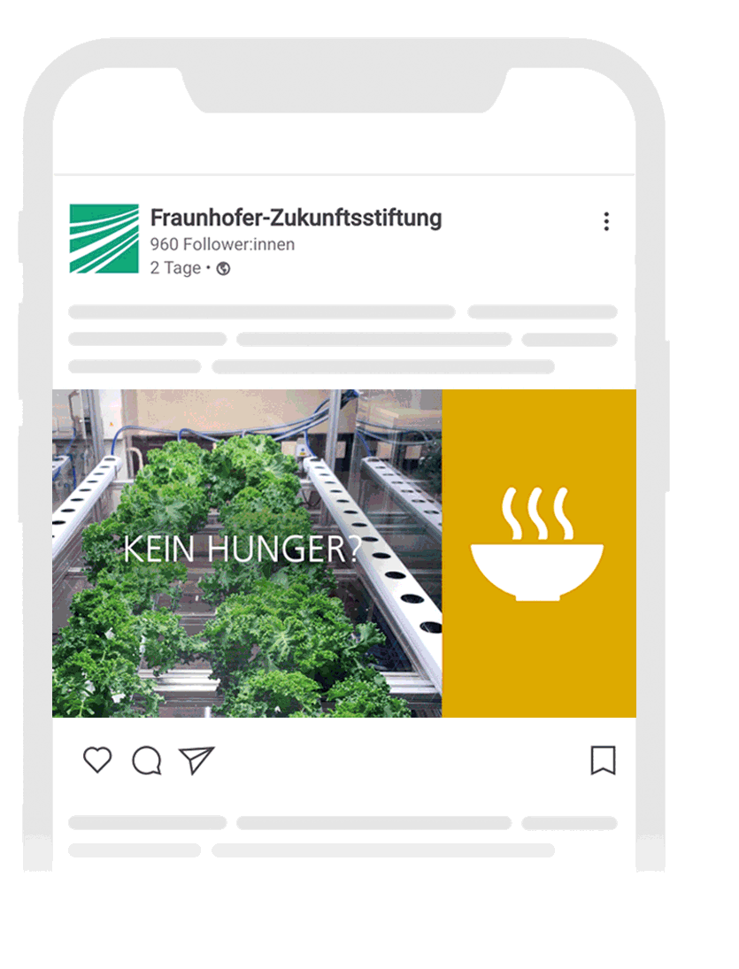 »Intellectual Property«