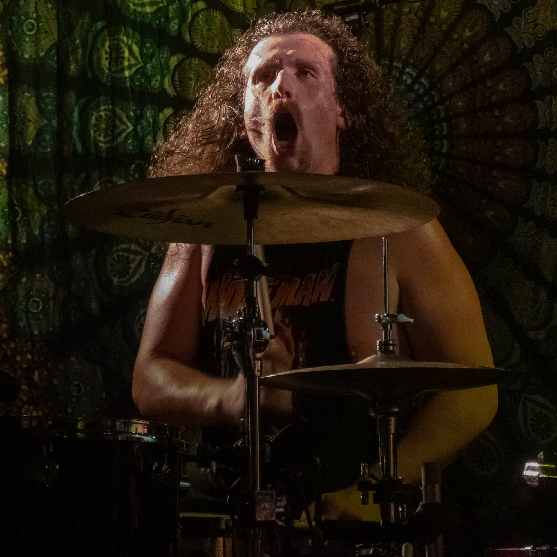 Black Stone Cherry Debaser 2018-11-17