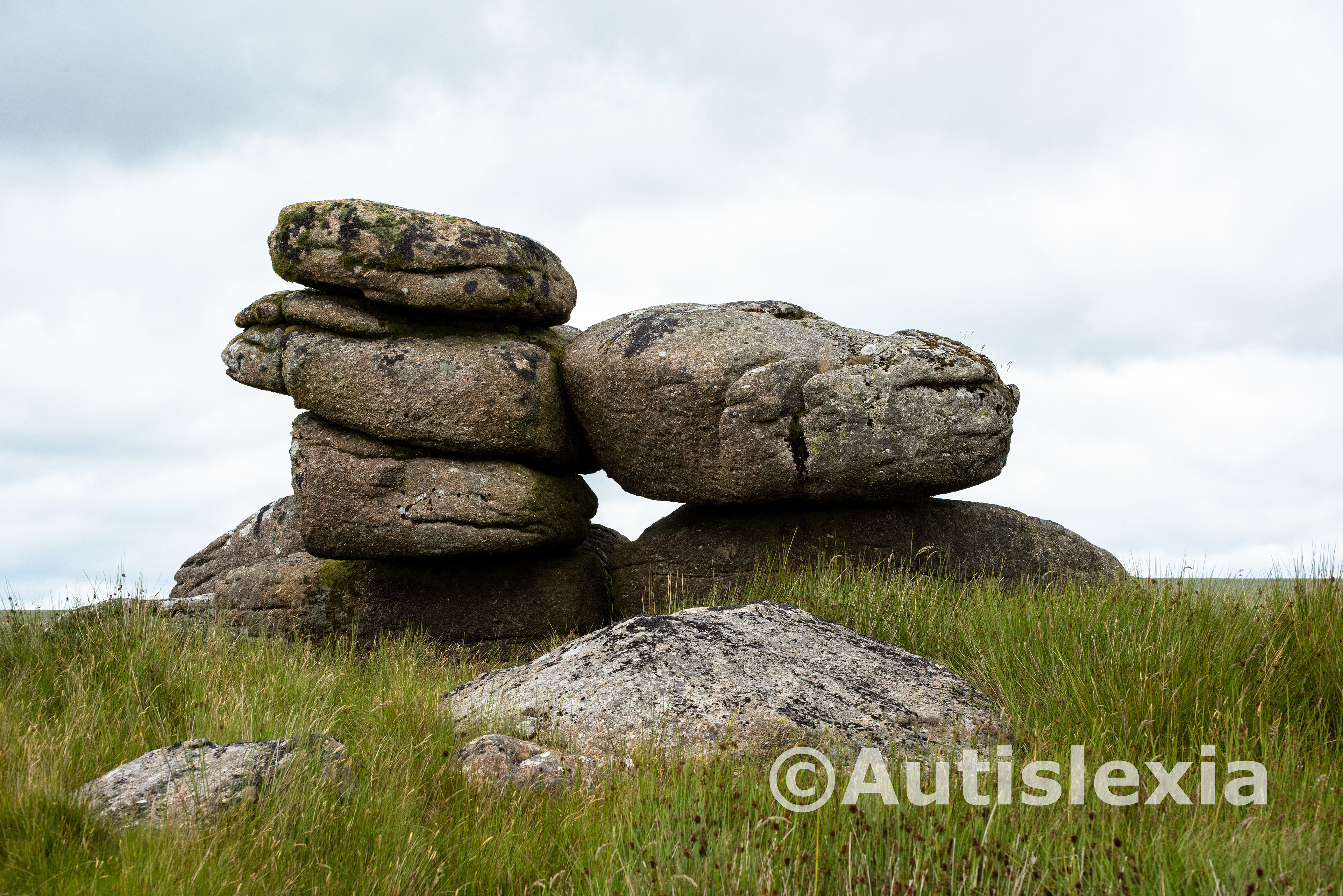 A Tor of six obvious stones in this shot, which are the top of the Tor.