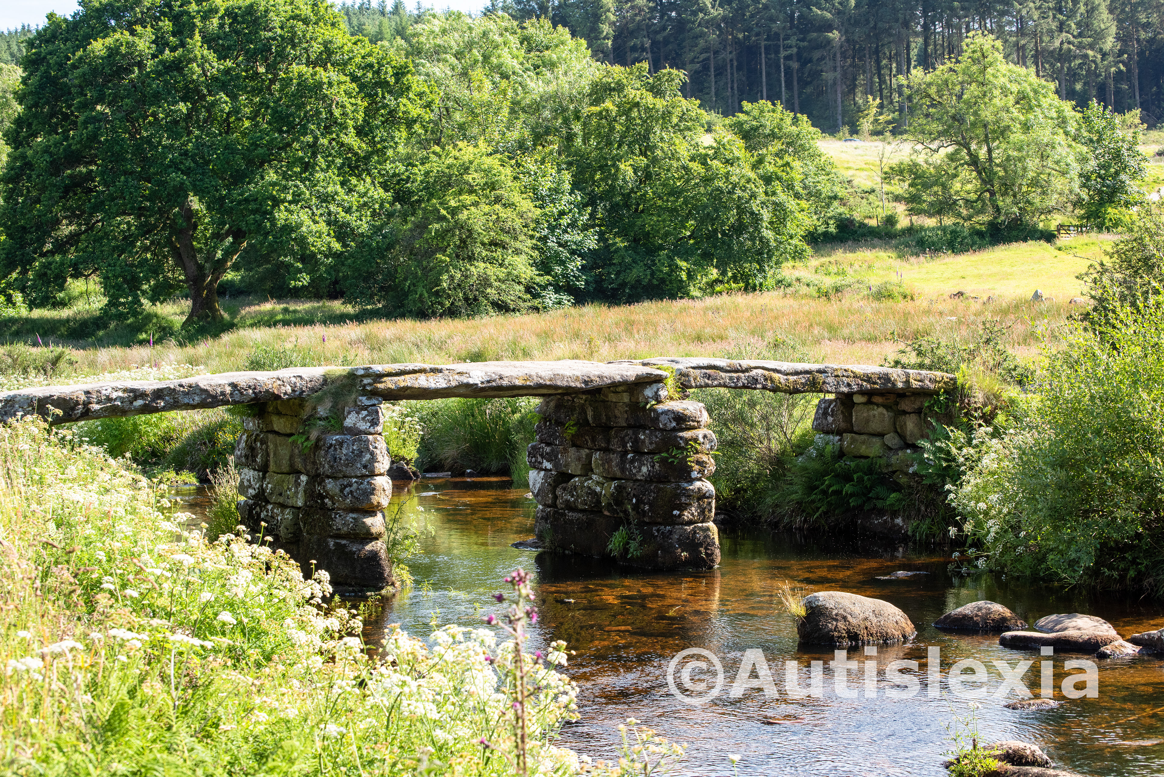Dartmoor clapper bridge, made of big slabs of stone resting on columns of stone making a bridge over the river/steam. Grassy field with some trees in the background.