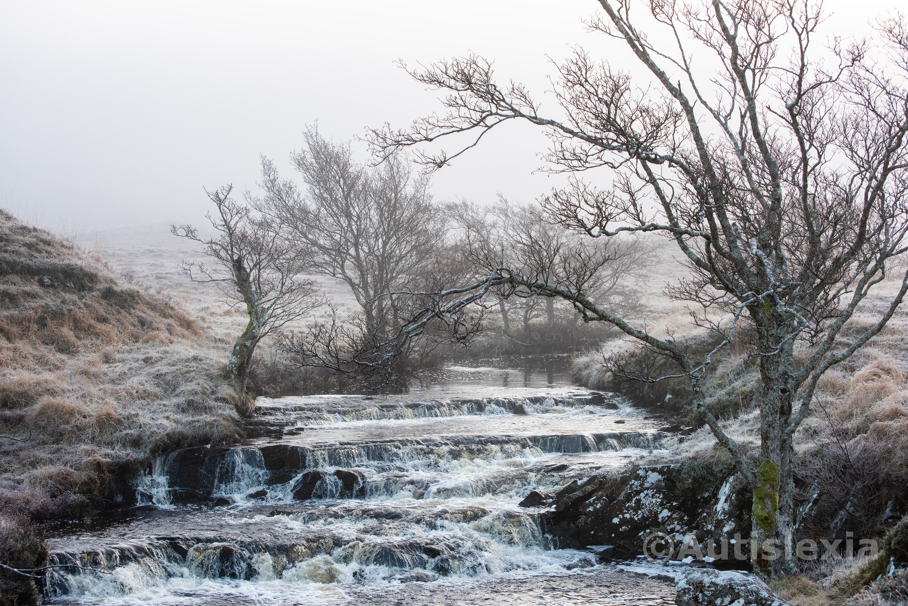 Frosty scenery with a series of four low river waterfalls in the centre, with frosty trees and grass on both sides