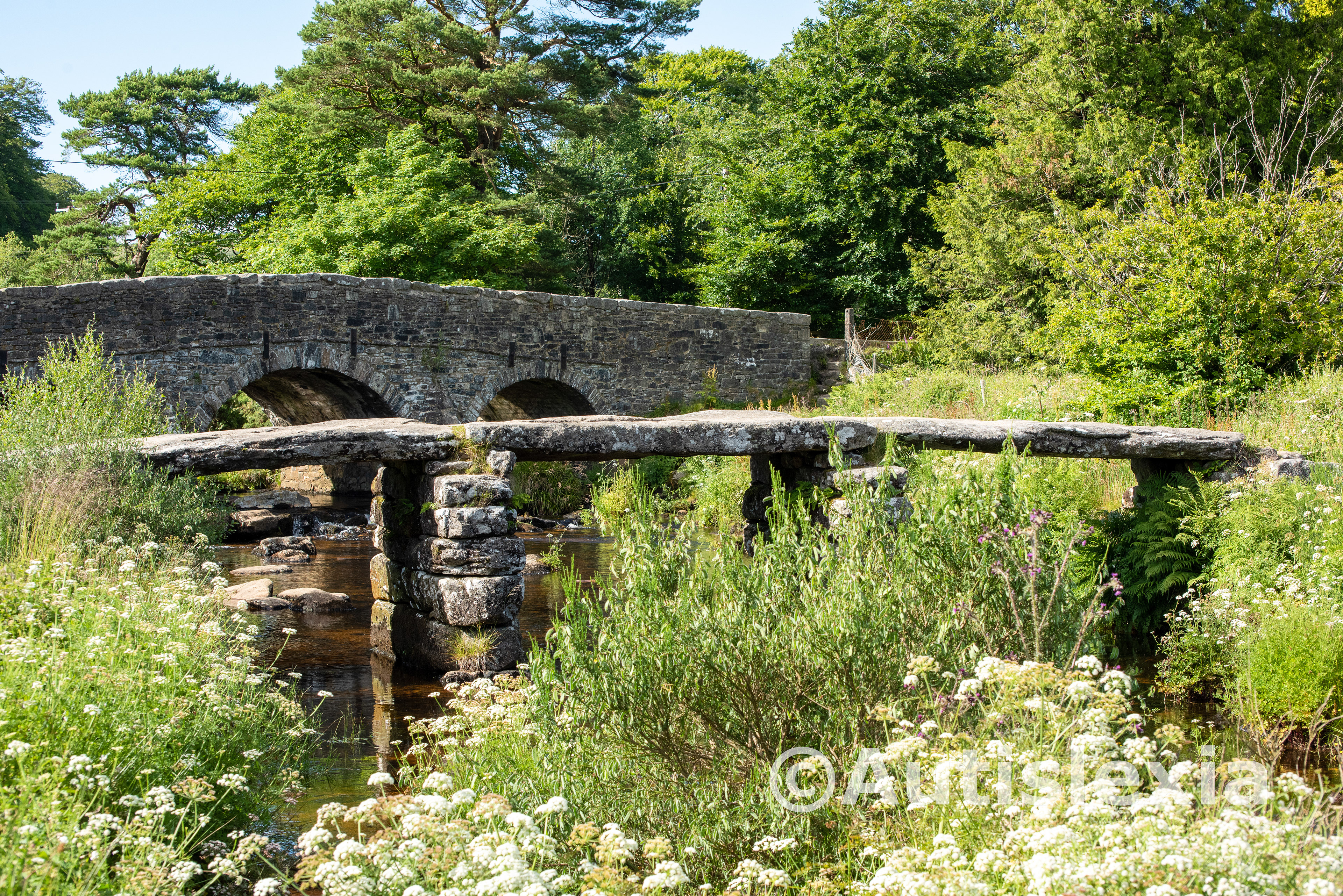 Image of clapper bridge with the road bridge in the background, with lots of trees and foliage surrounding them.