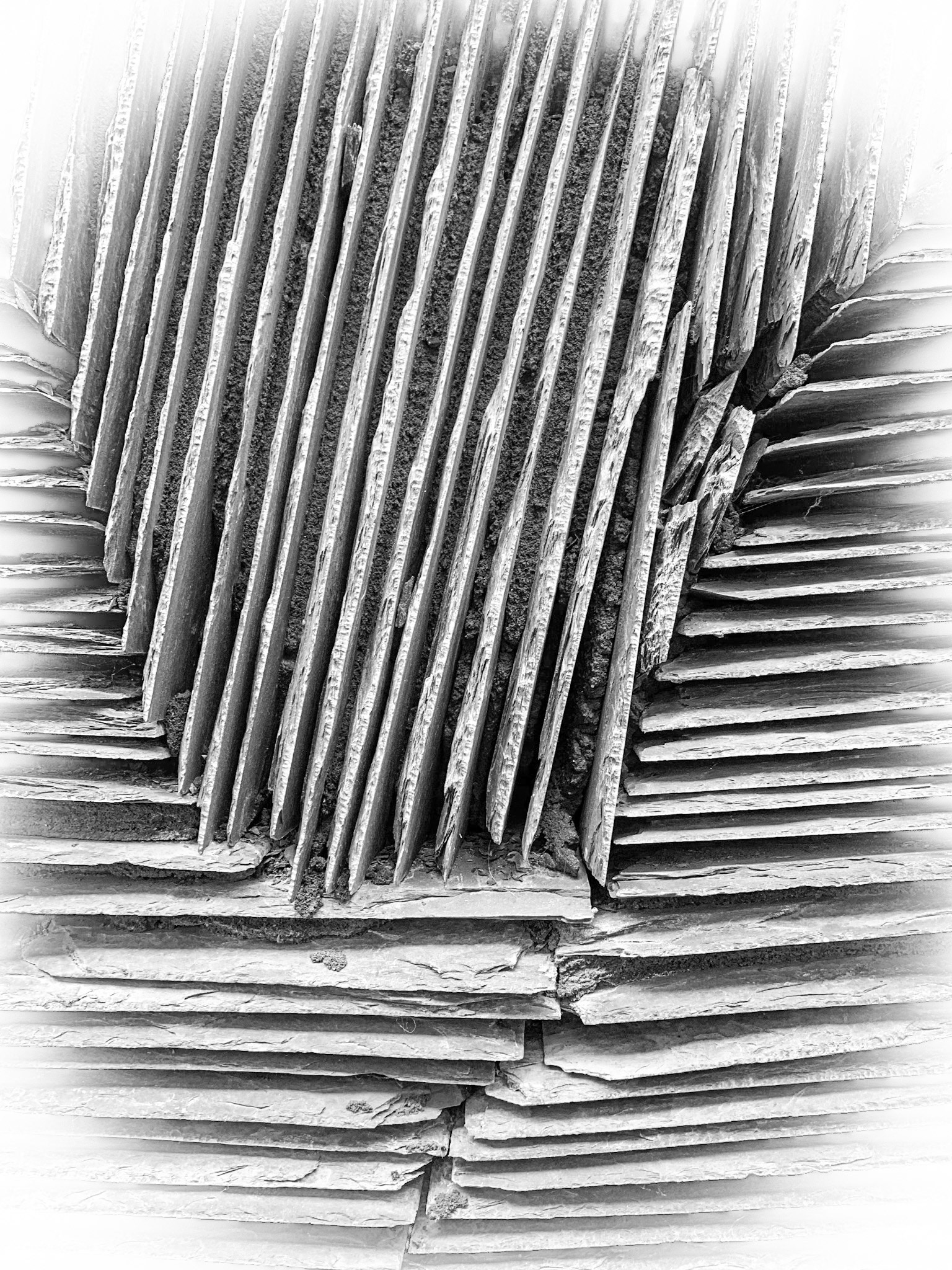 Slate will in Black and White with
