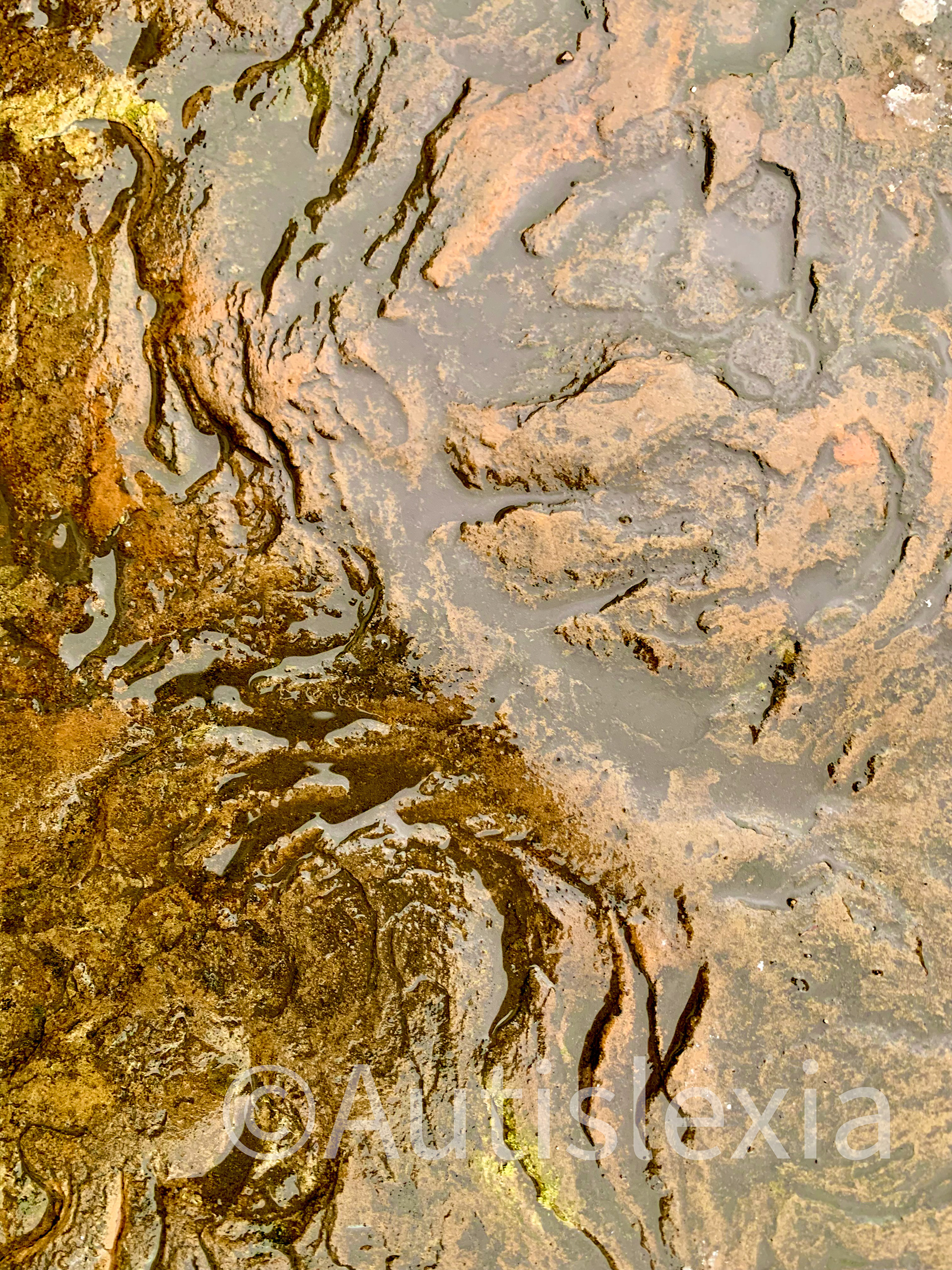 Wet stone showing pattern in the stone