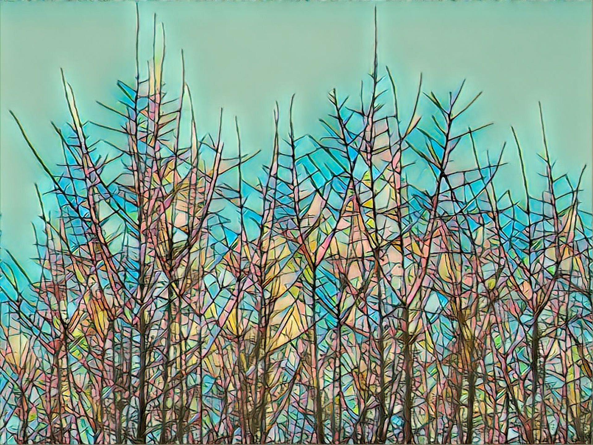 Hedge in winter with filter