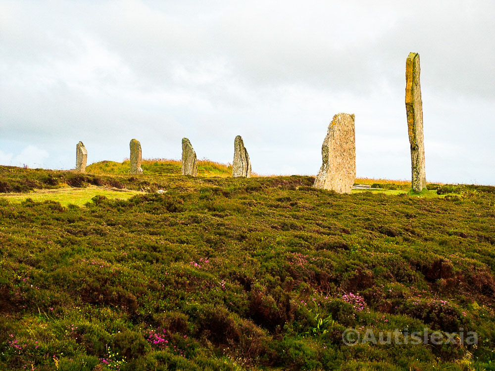 Standing stones in the Orkney Islands, one large prominent side on view with, on grass with low purple heather away from the stone, with grey cloud cover