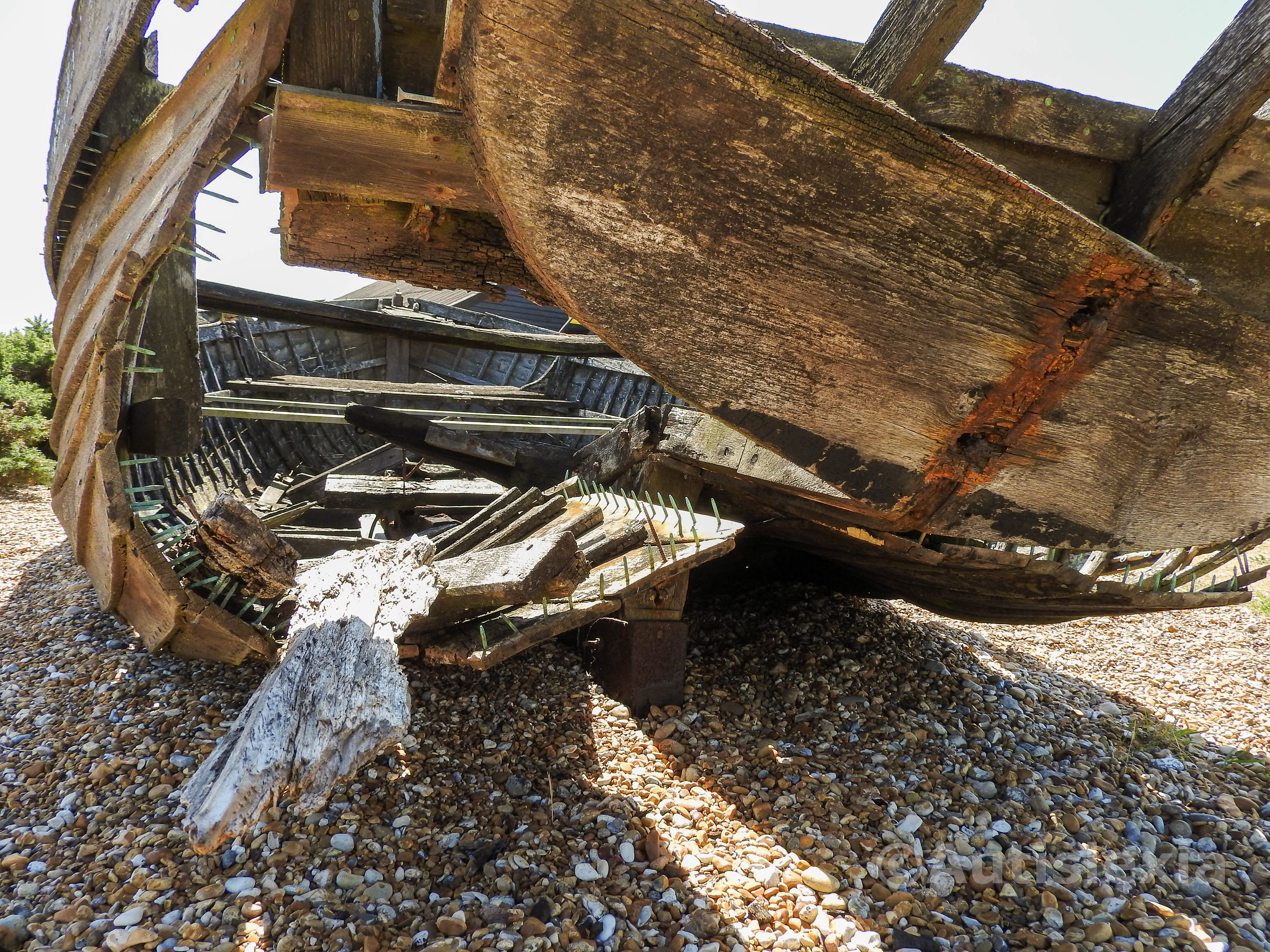 Rotting wooden boat showing the inside from the outside, with rotting wood and exposed nails,