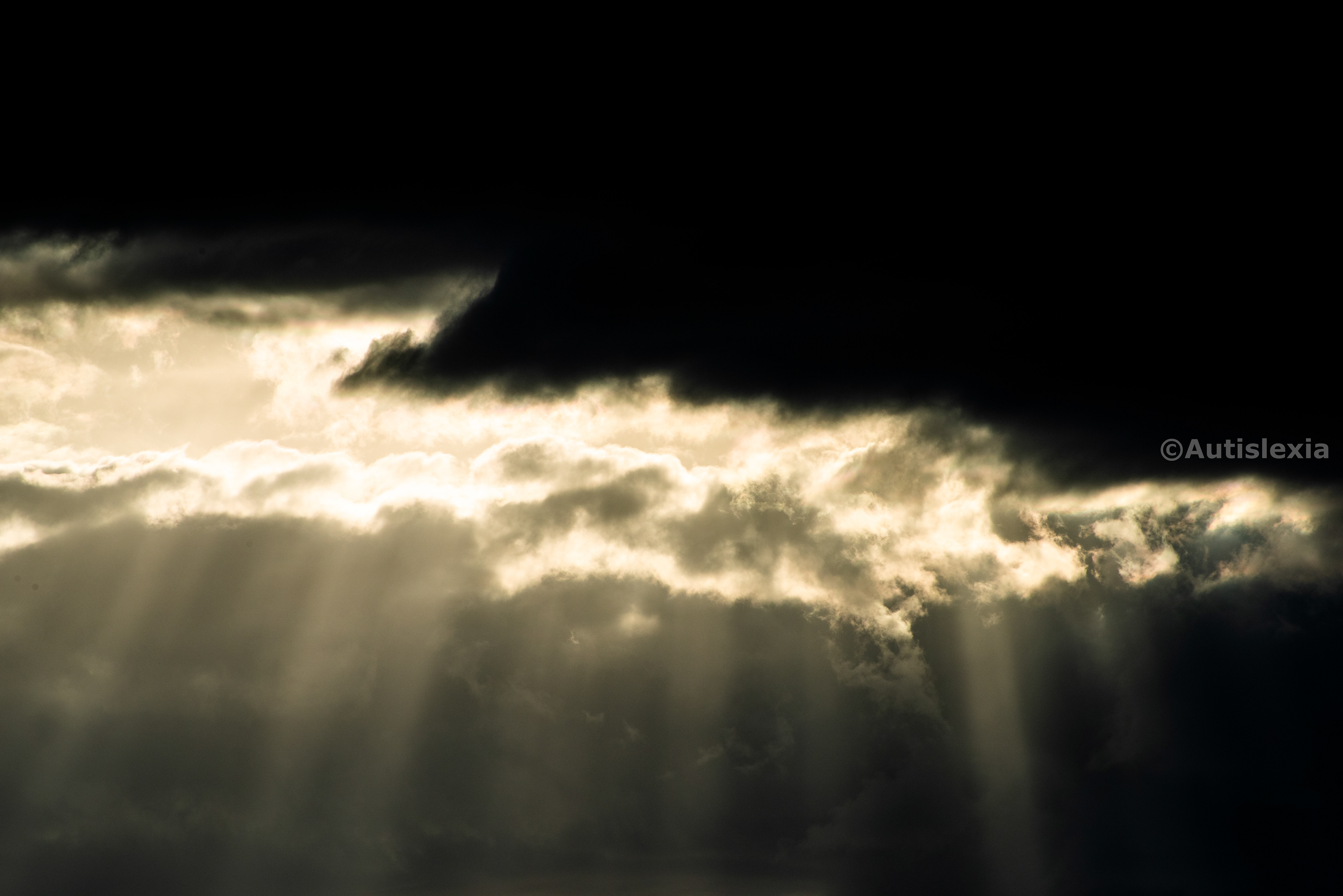 Image of bark and black clouds with 'fingers' of sunlight coming through a gap in the clouds.