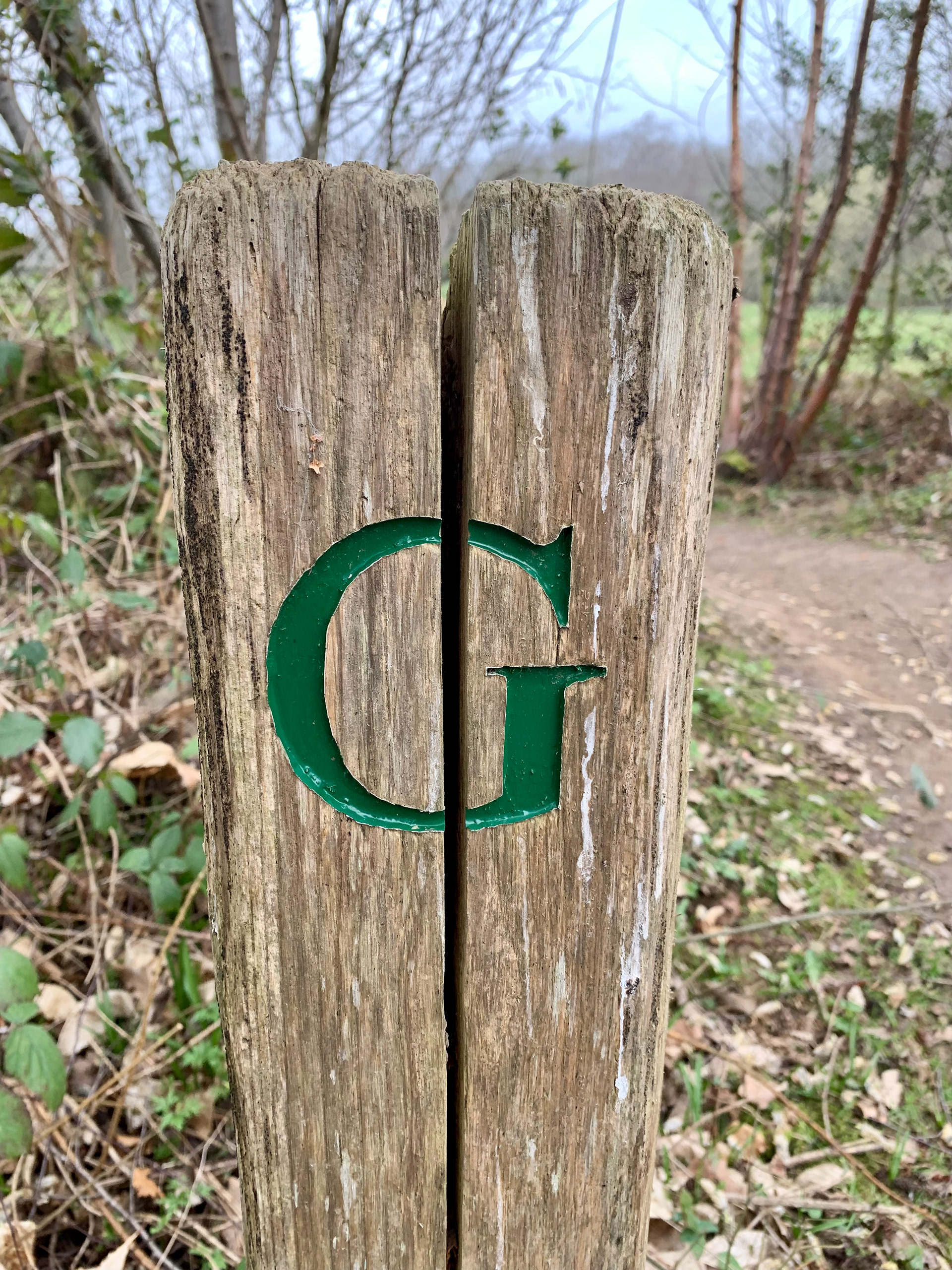 Old wooden post with a green capital G split in half on it