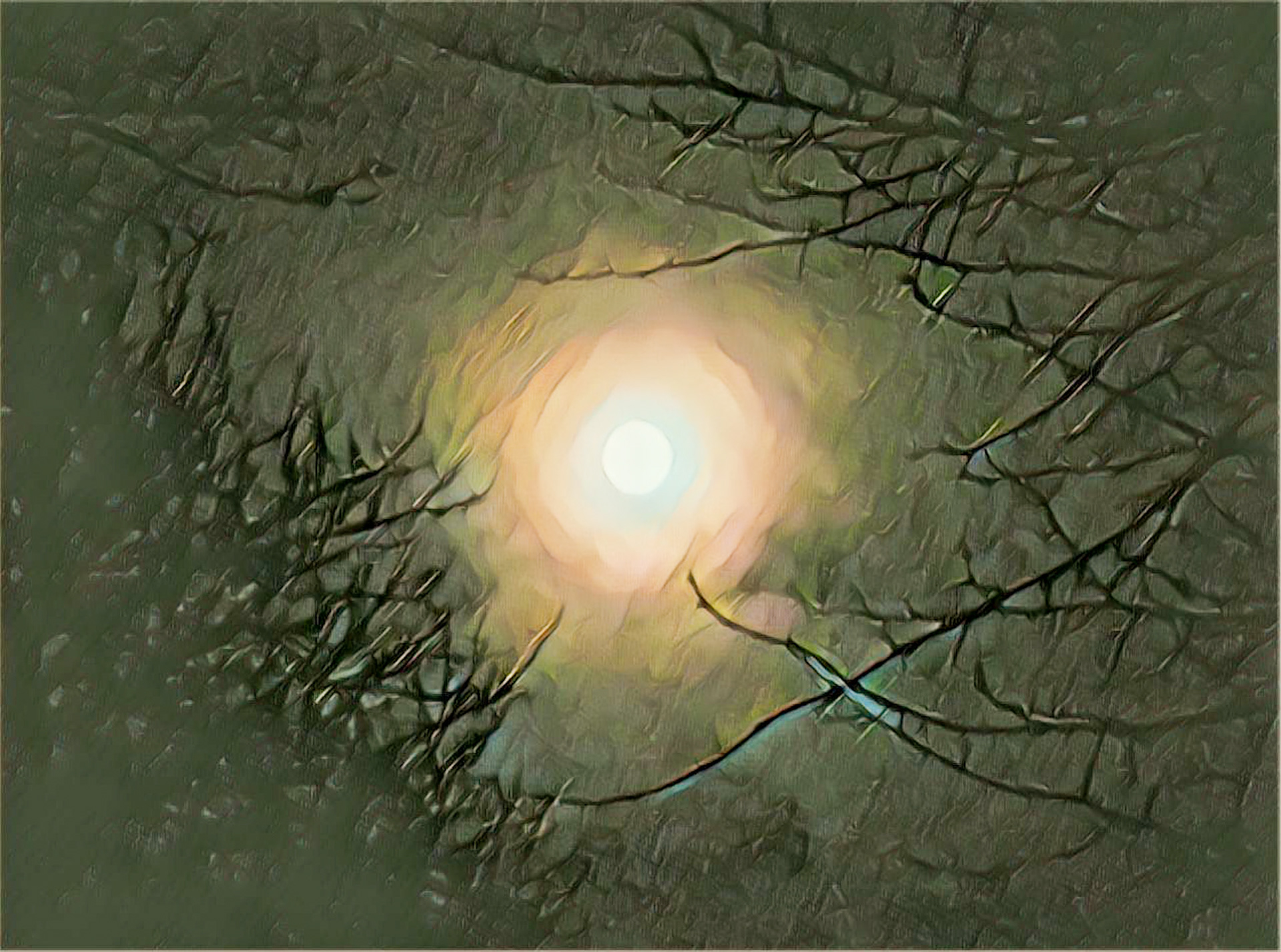 Moon through trees with filter