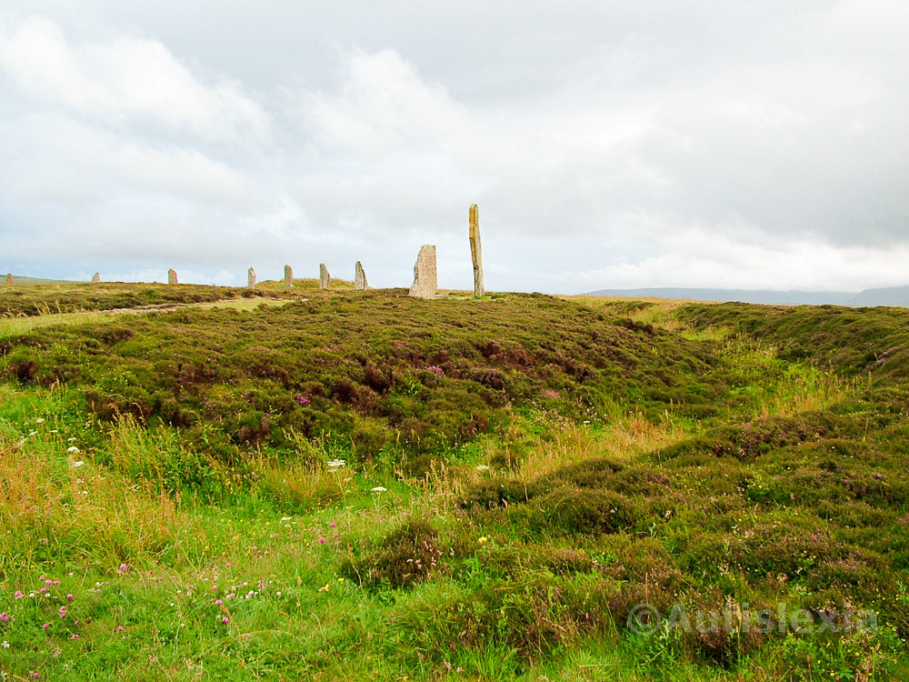 Standing stones in the Orkney Islands, one large prominent side on view with, on grass with low purple heather away from the stone, with grey cloud cover