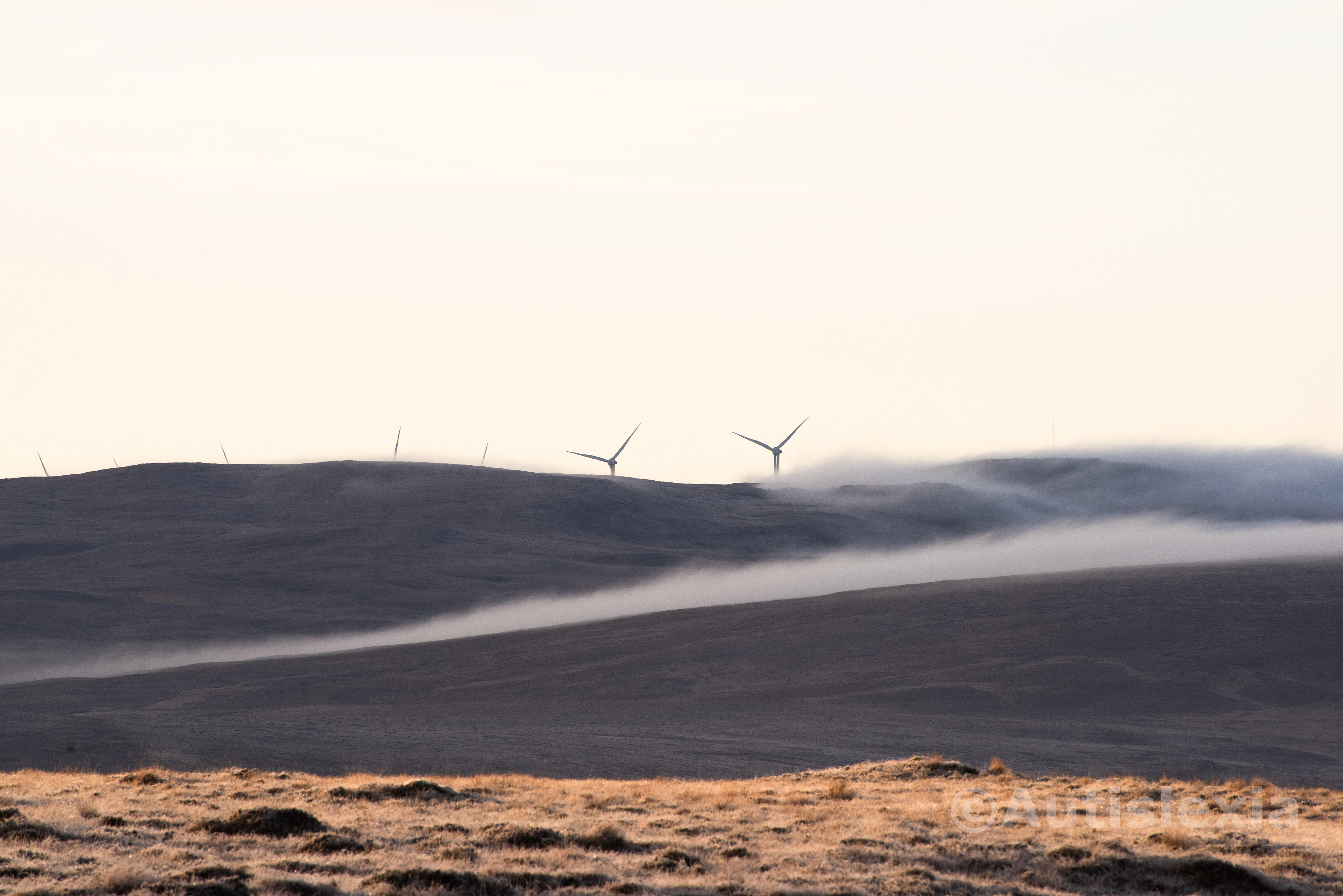 Frosty scenery with wind turbines peeping over a frosty and misty hillside