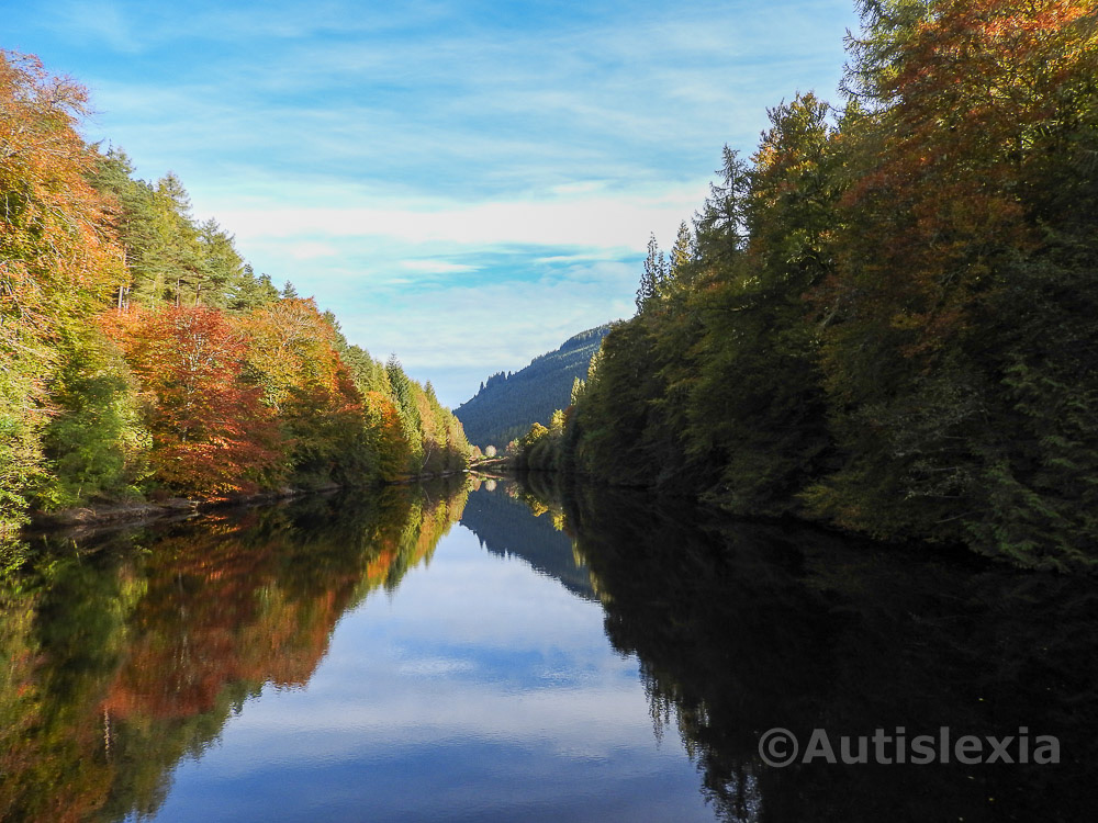 Caledonian canal, avenue of trees in autumn