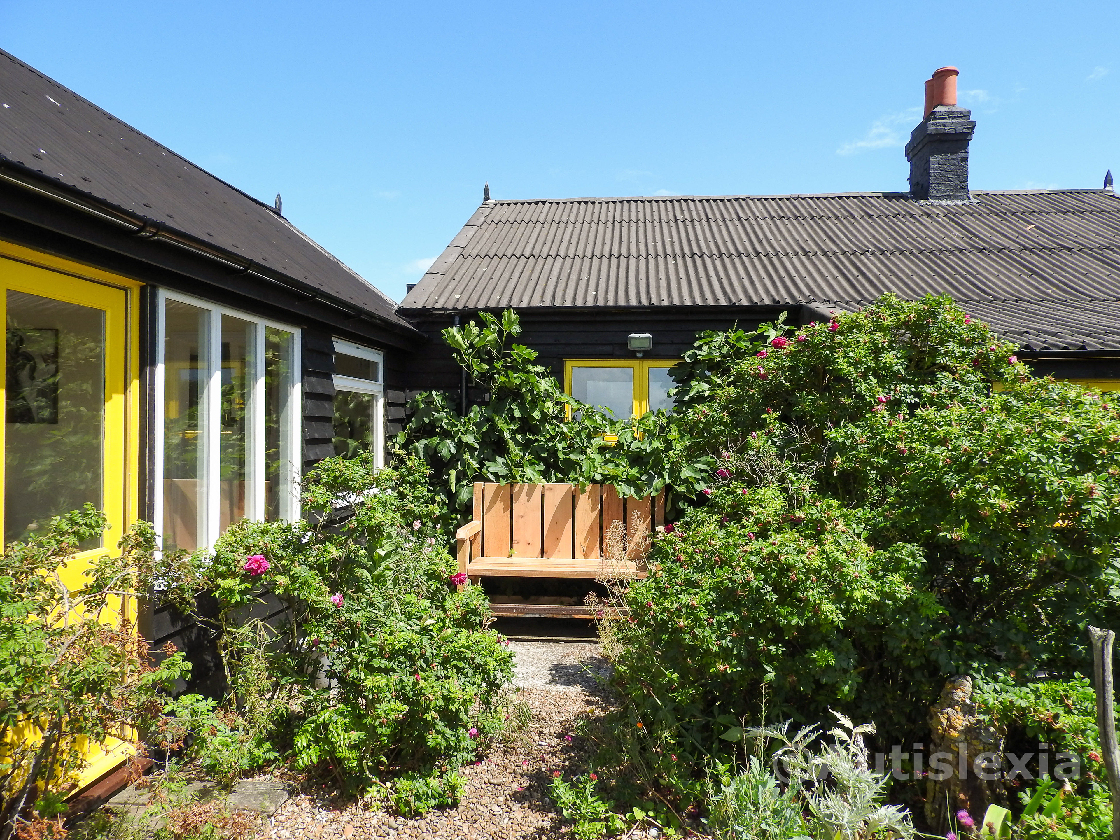 Image of back of Prospect Cottage; showing some garden plants and a bench.