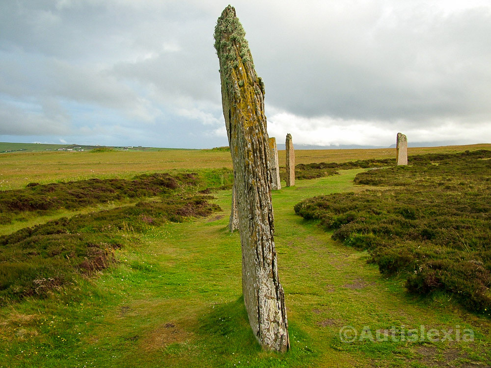 Standing stone in the Orkney Islands, one prominent side on view with smaller ones behind on grass with low heather away from the stones
