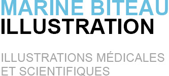 Marine Biteau Illustration