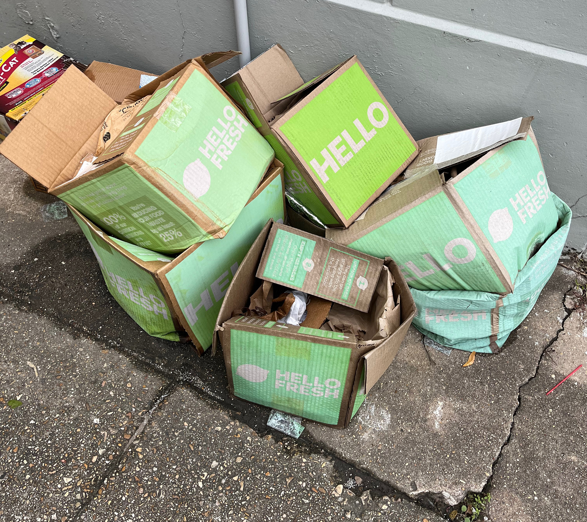 Neglected, soggy pile of garbage.