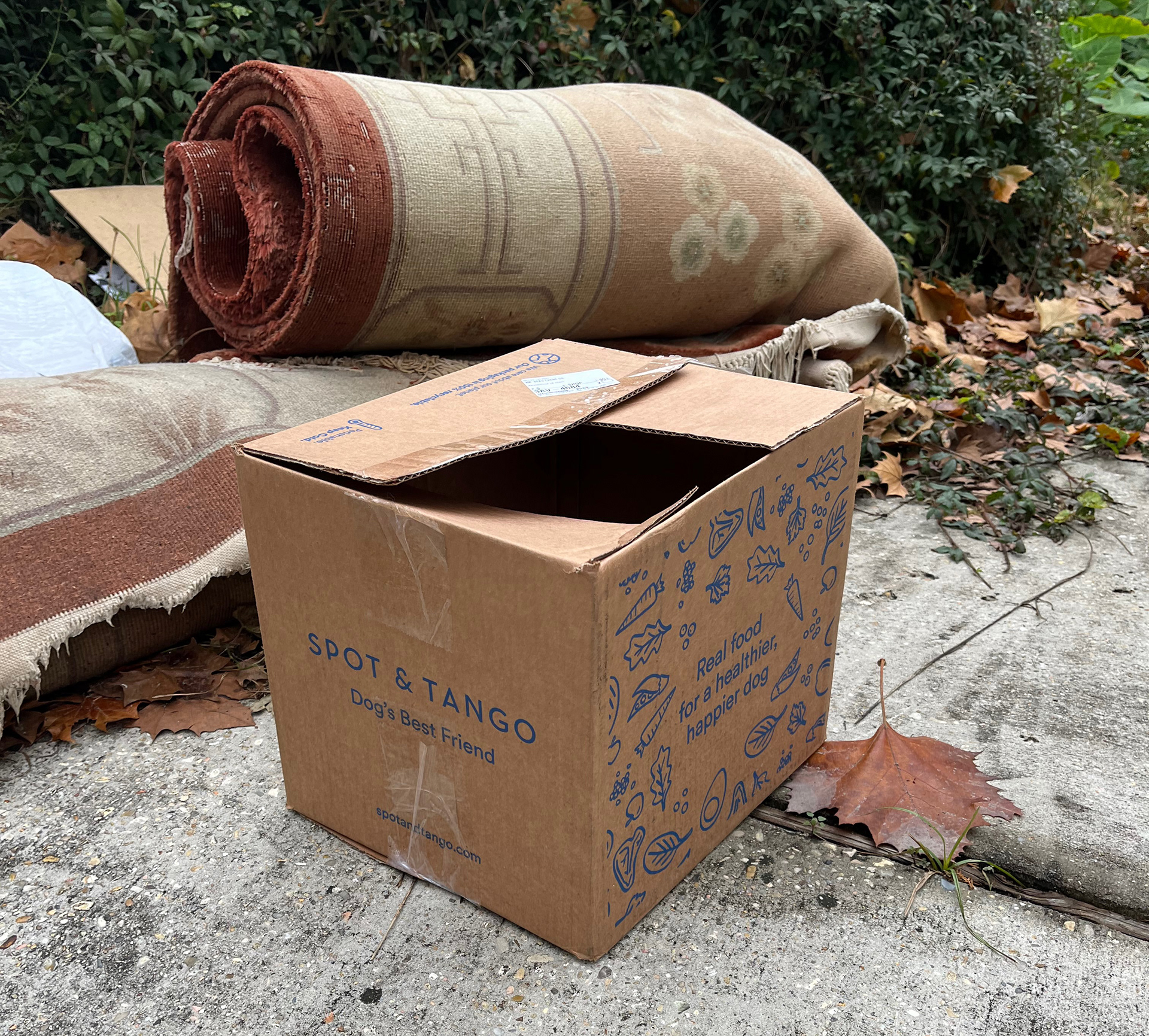 Waiting for trash day.