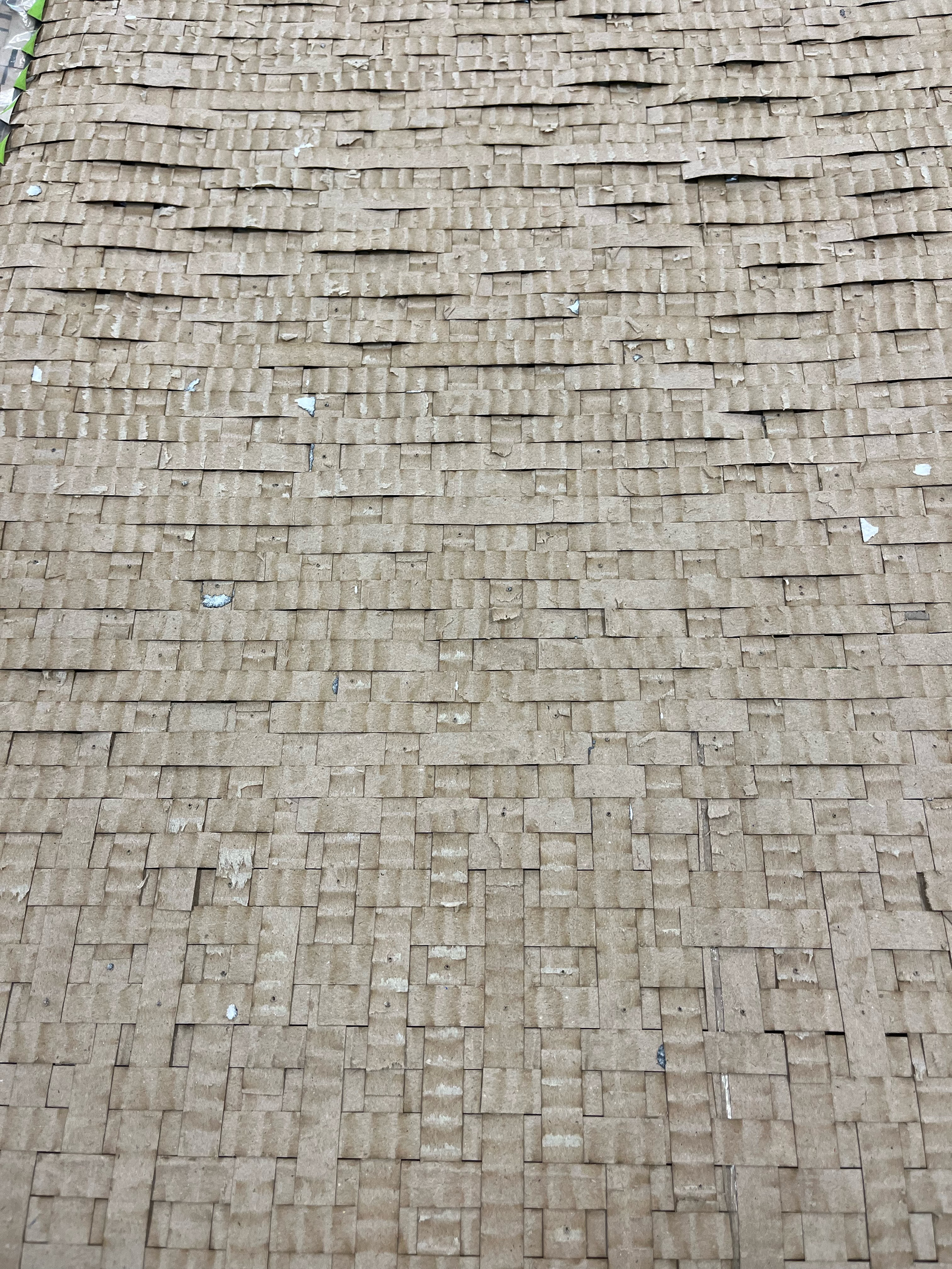 The Back