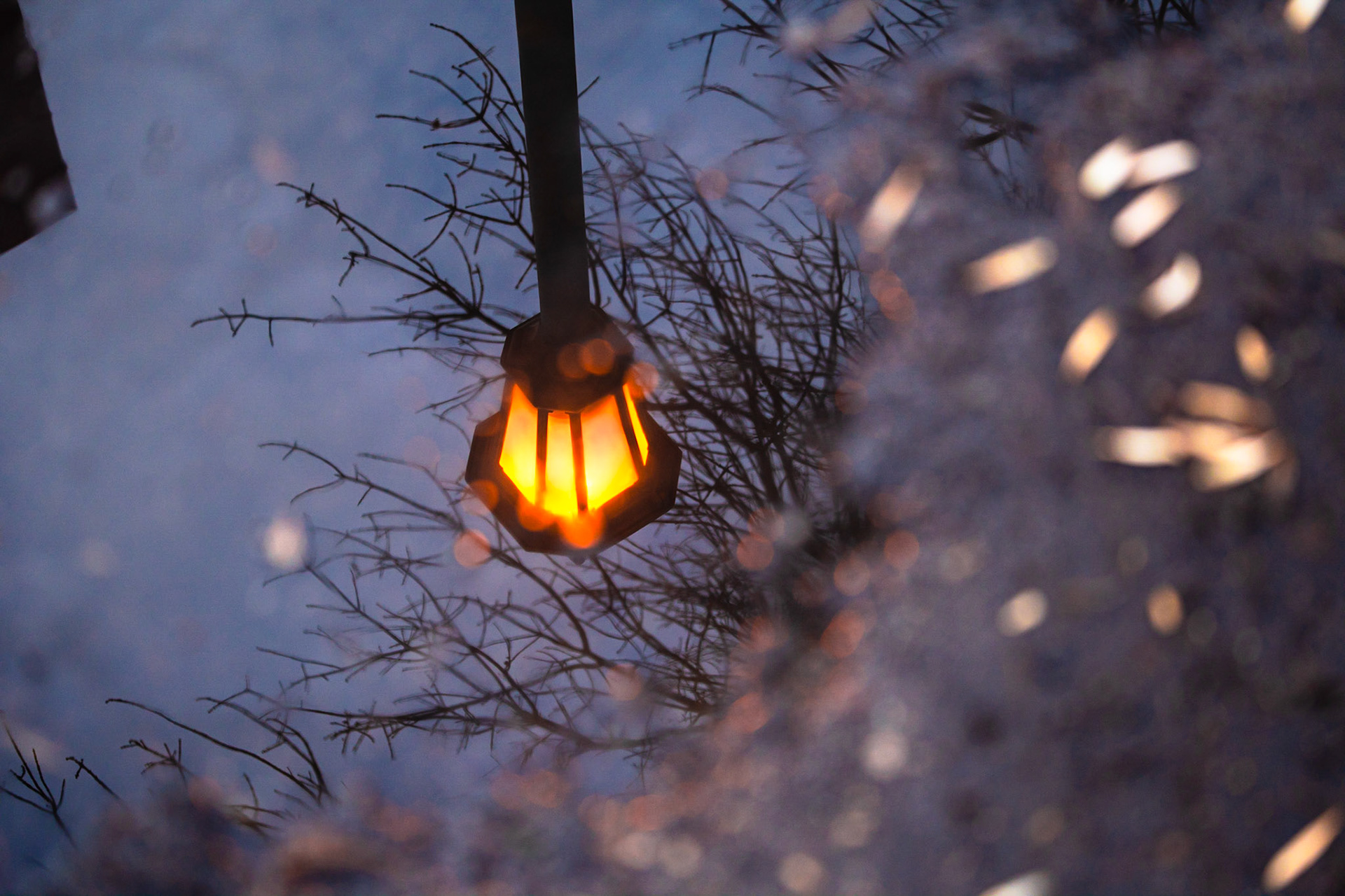 Water Lamp