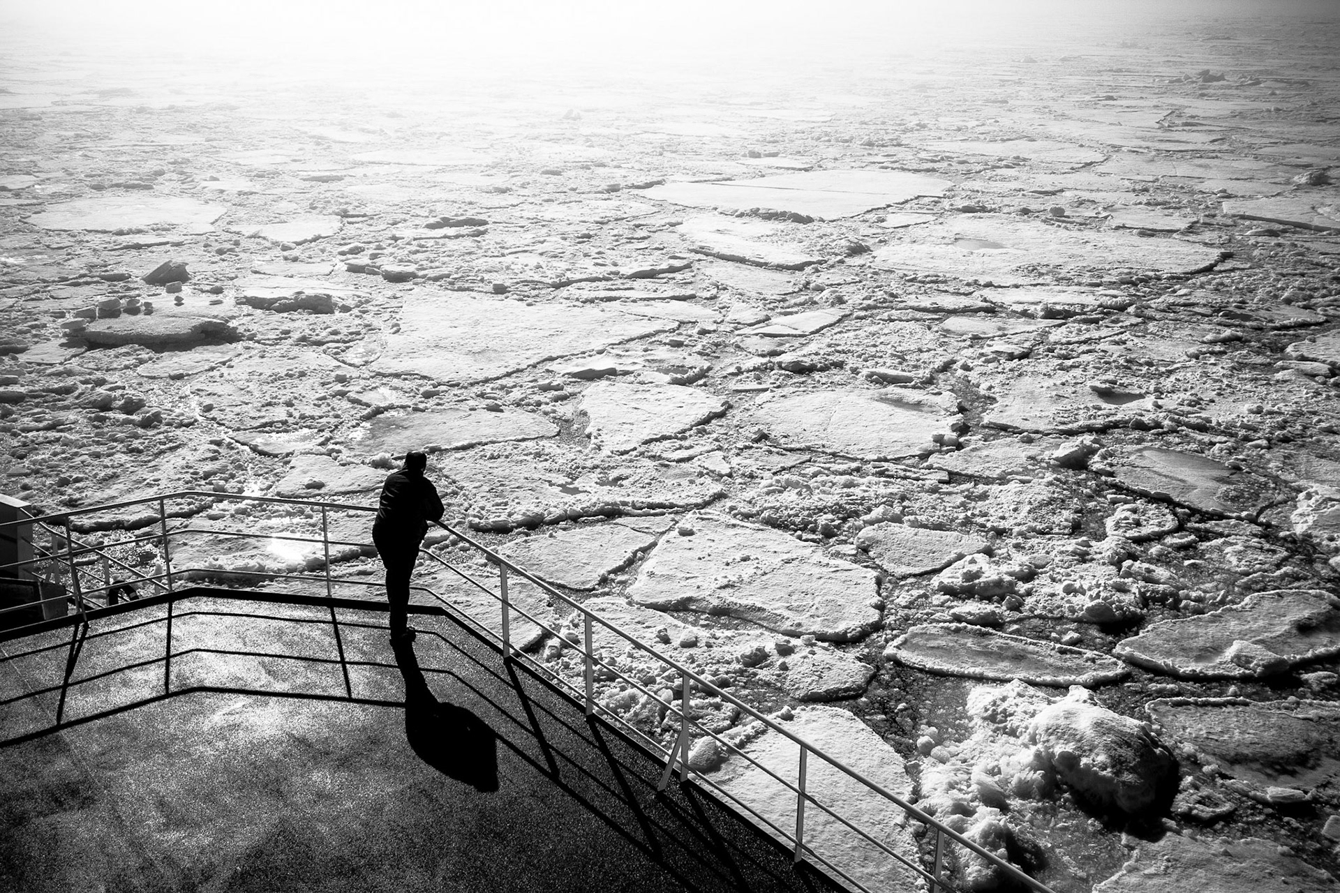 Meditation scientifique