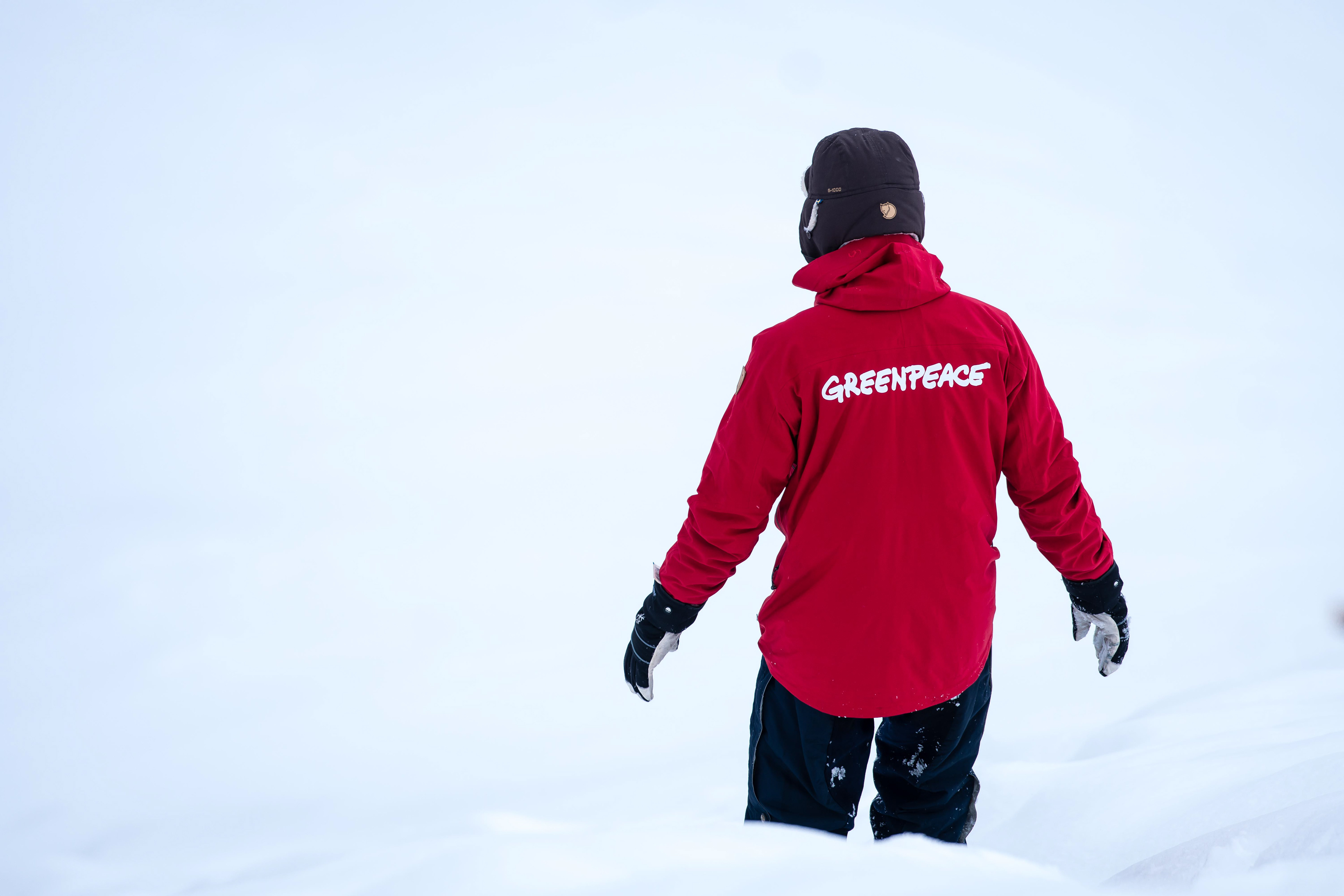 Greenpeace campaigner in the Antarctic
