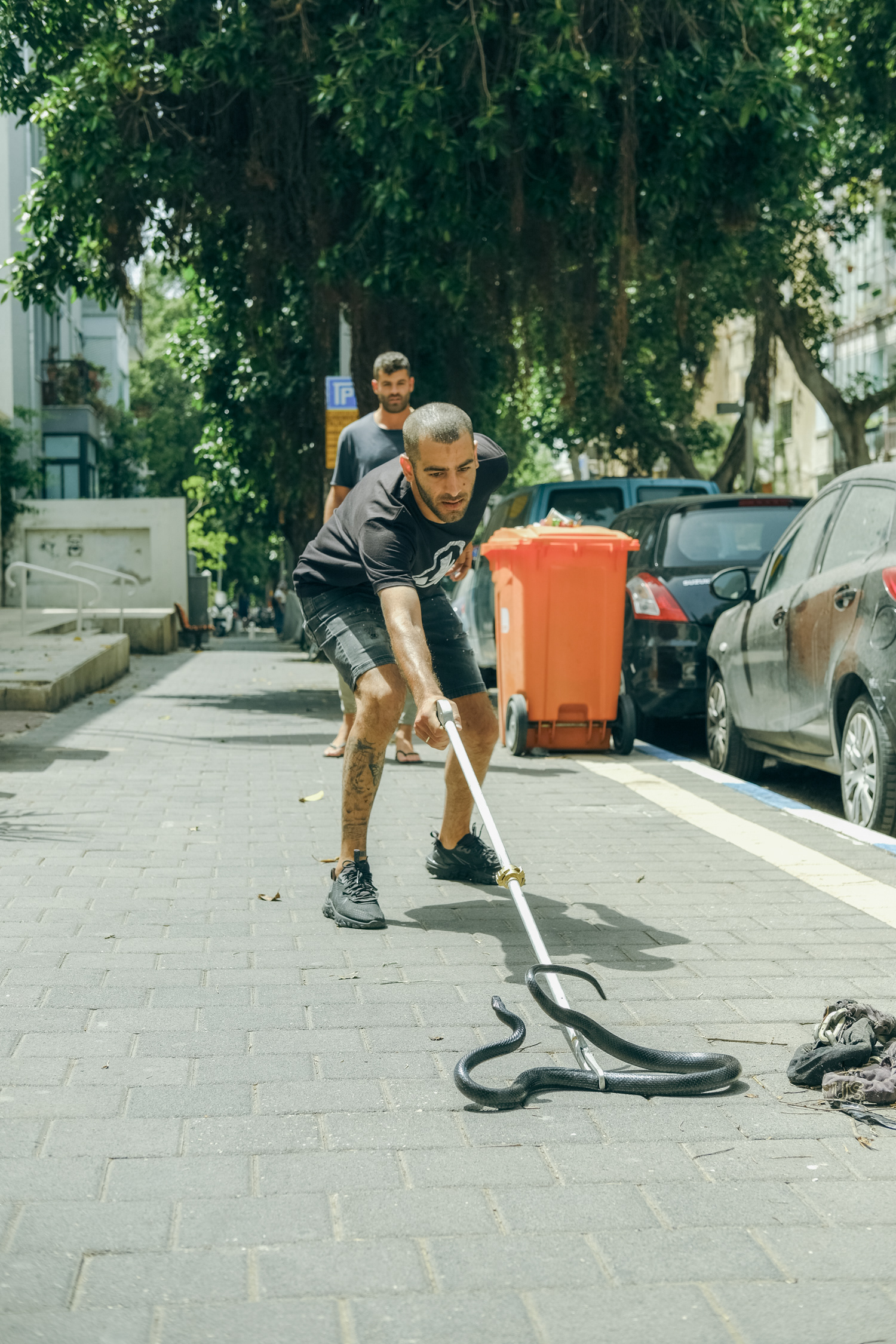 Animal Control person catching a runaway snake in city center. Tel Aviv - 17 May 2023