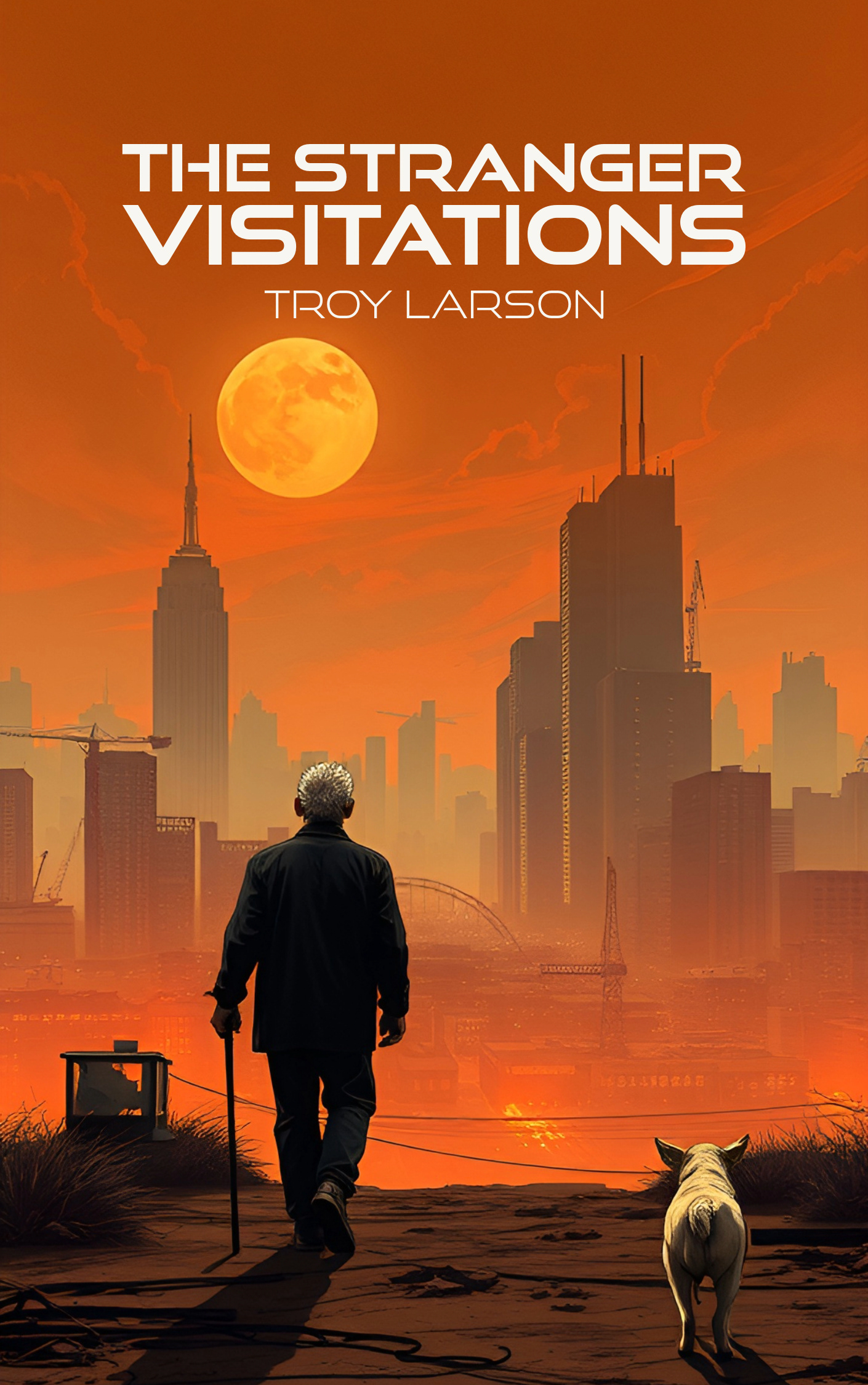 Book Cover