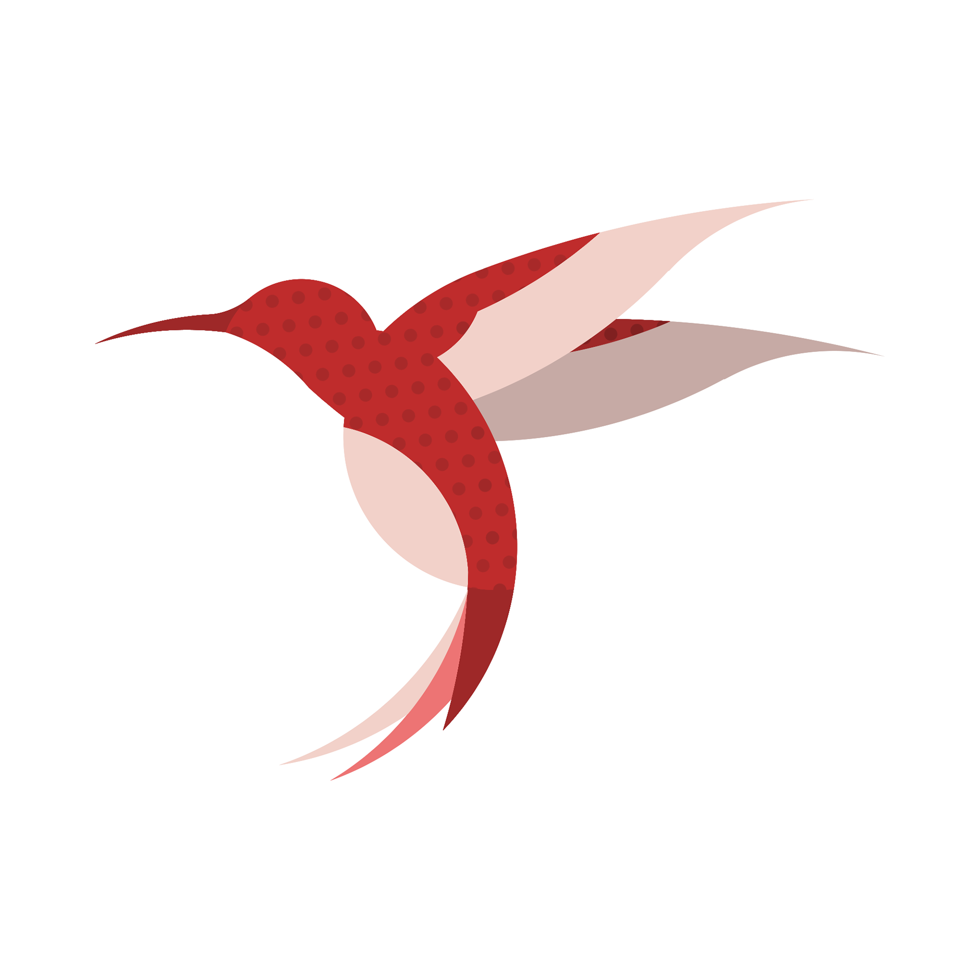Hummingbird