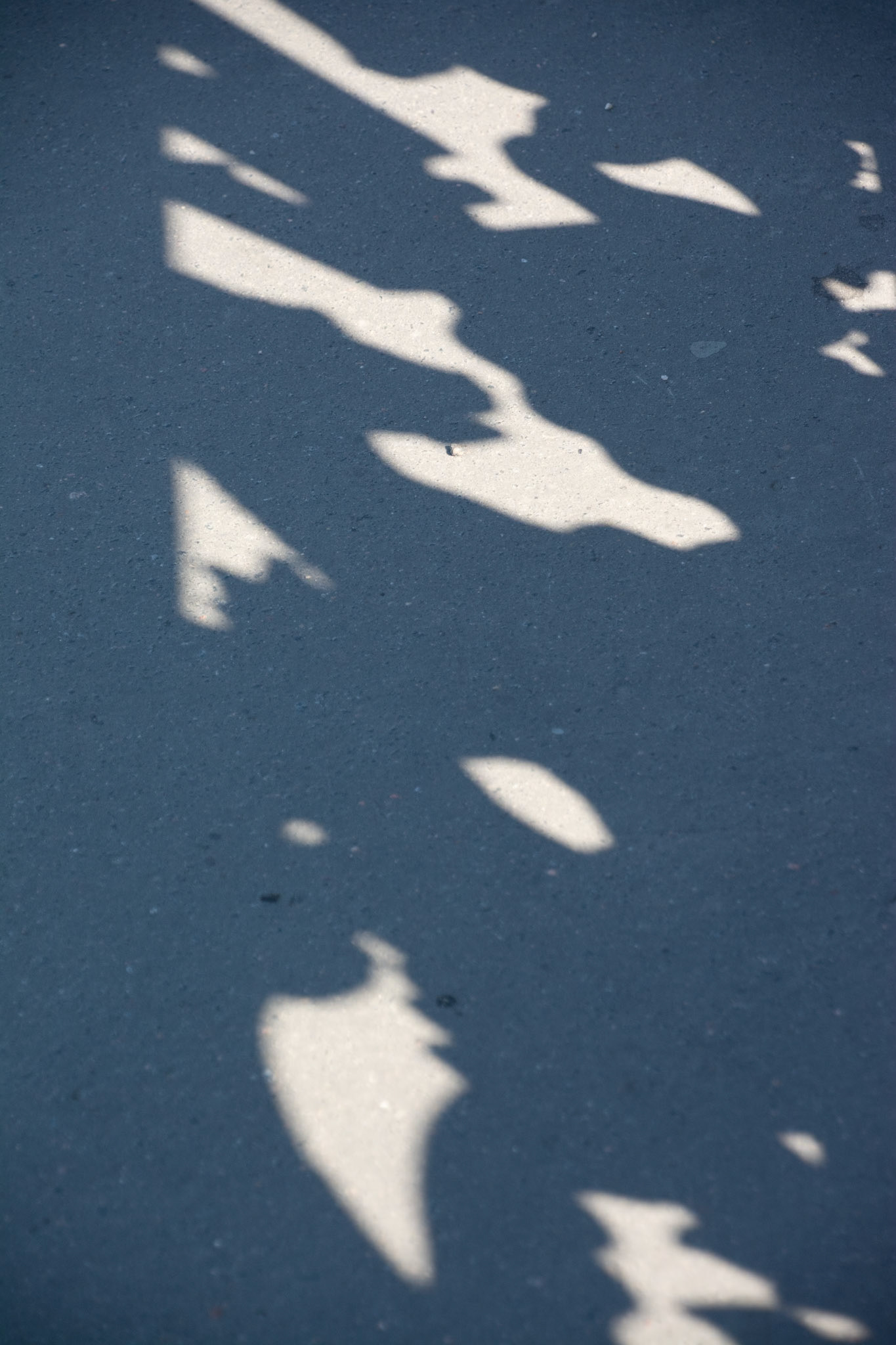 Light and shadow, Blagoveshchenskiy bridge, St Petersburg, Russia