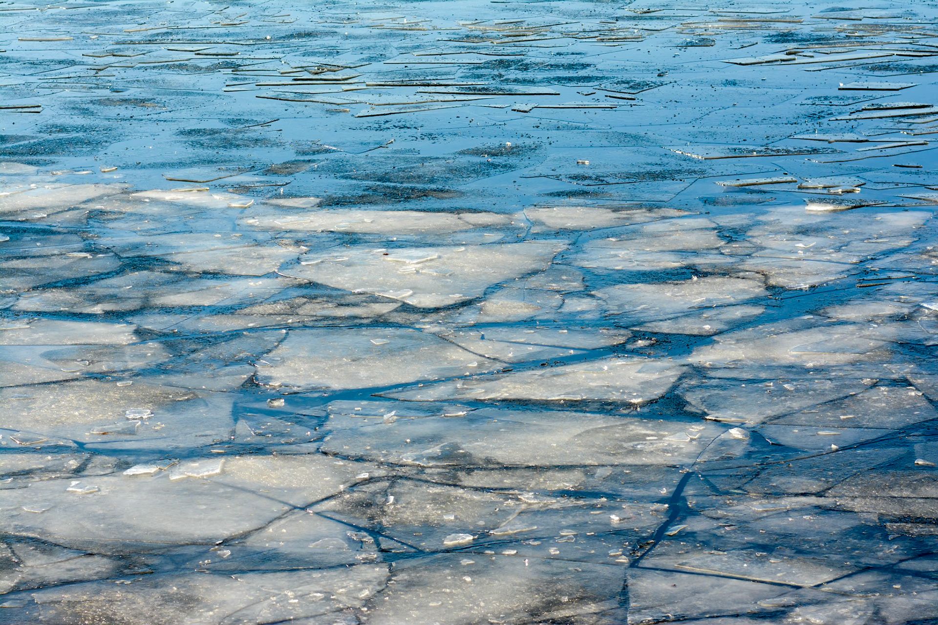 Ice on Charles river at Museum of Science, Boston, MA