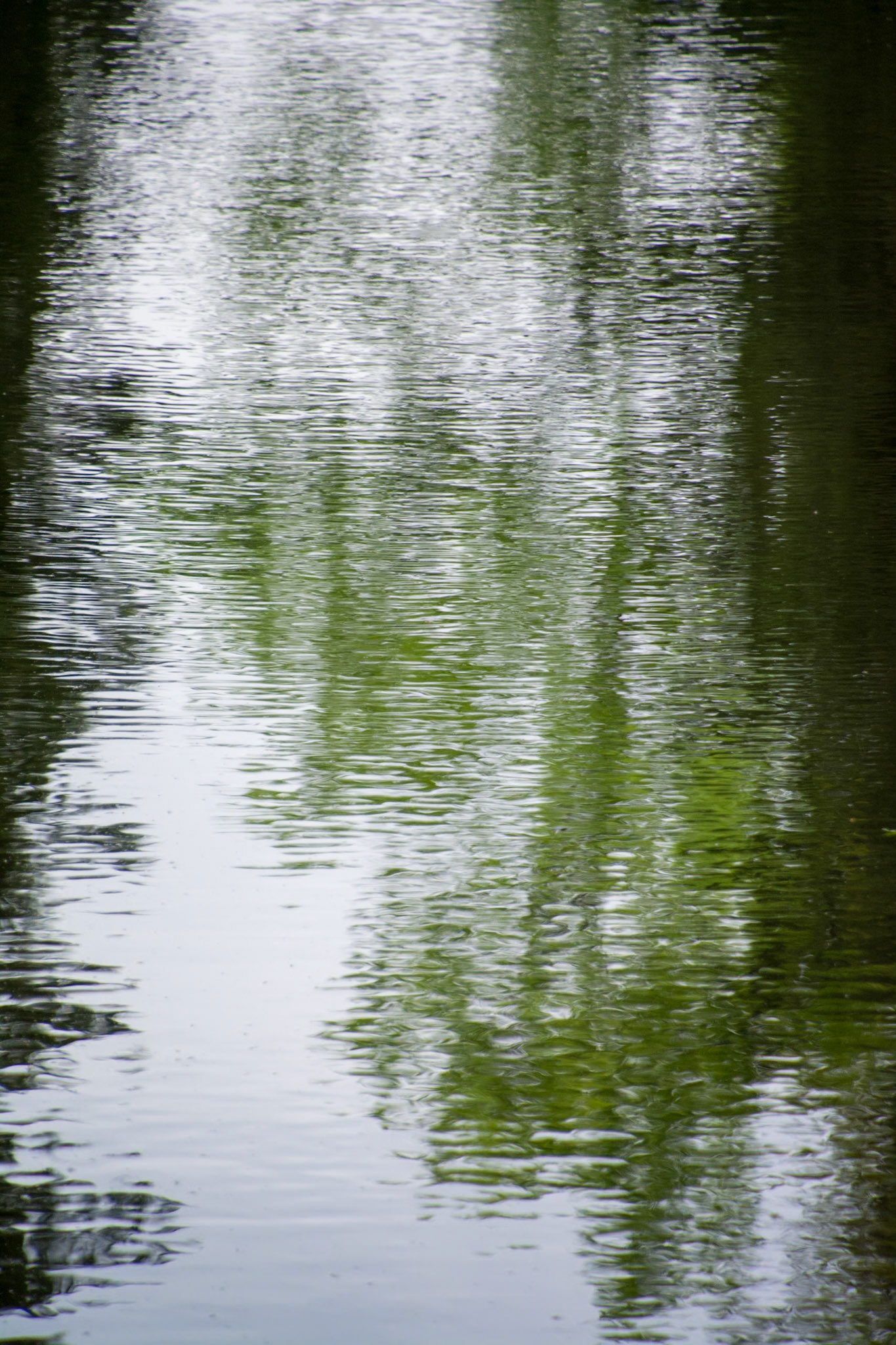 Reflections in canal at Catherine Palace, Tsarskoye Selo, Pushkin (St Petersburg), Russia