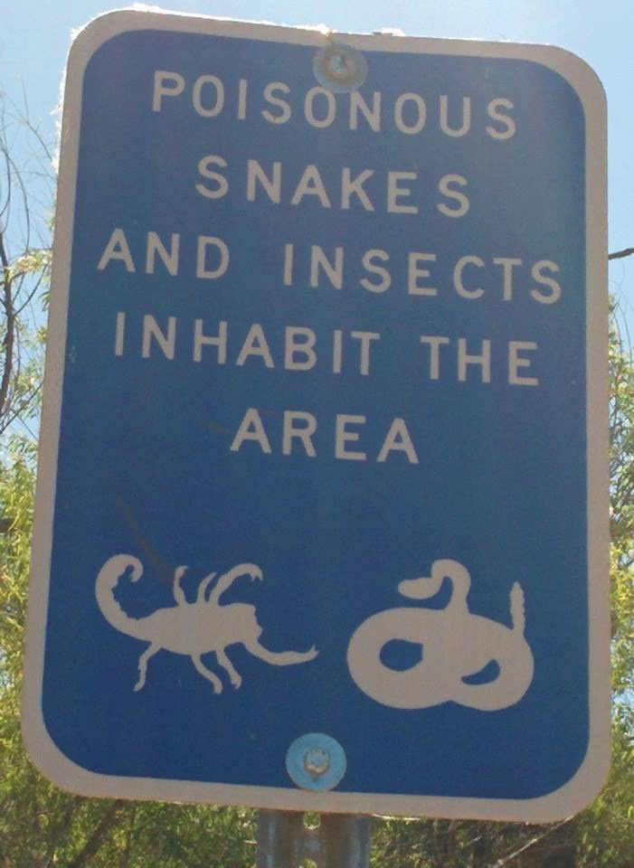 KInd of my back yard in the desert,