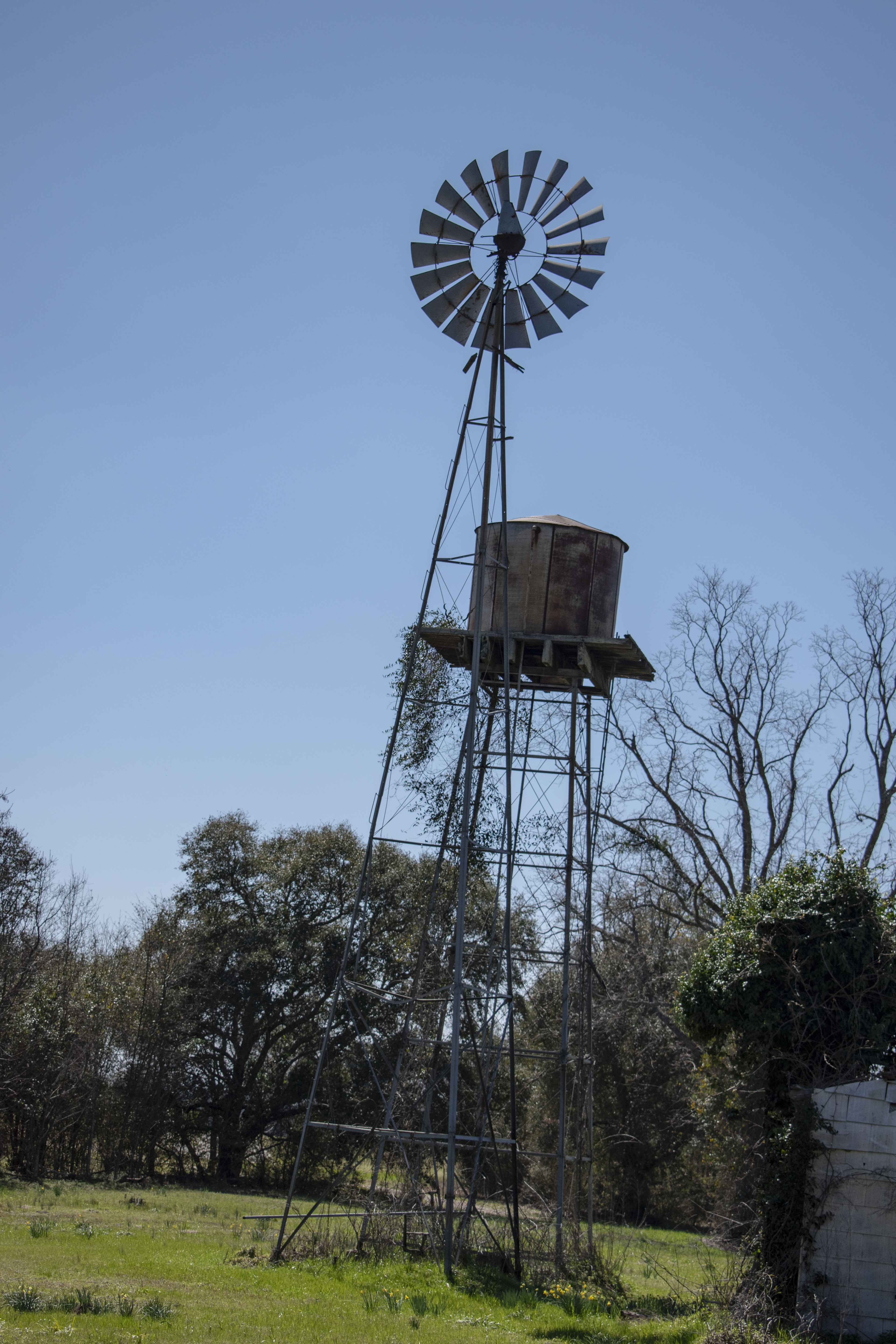Windmill in Georgia