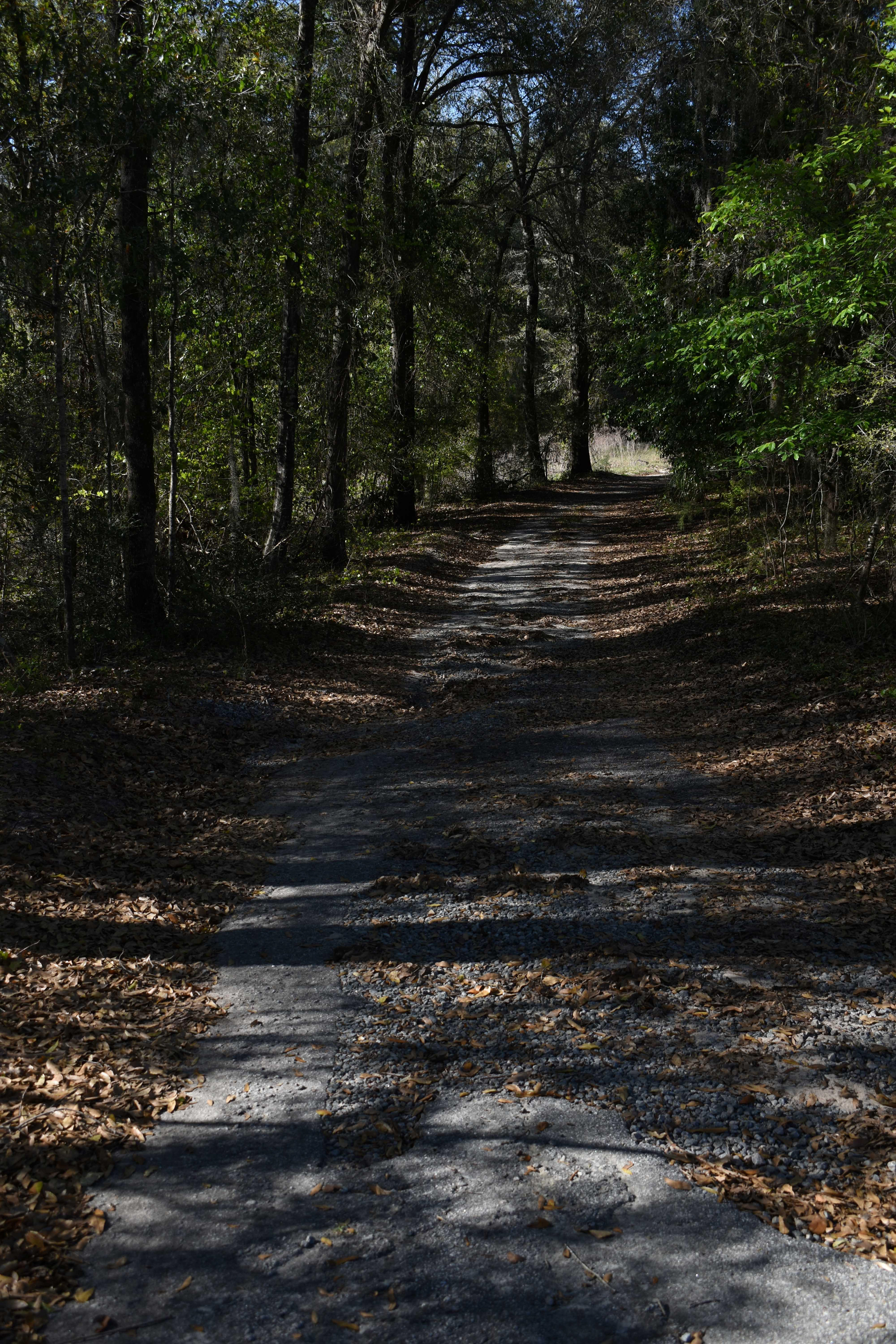 The Road Less Traveled