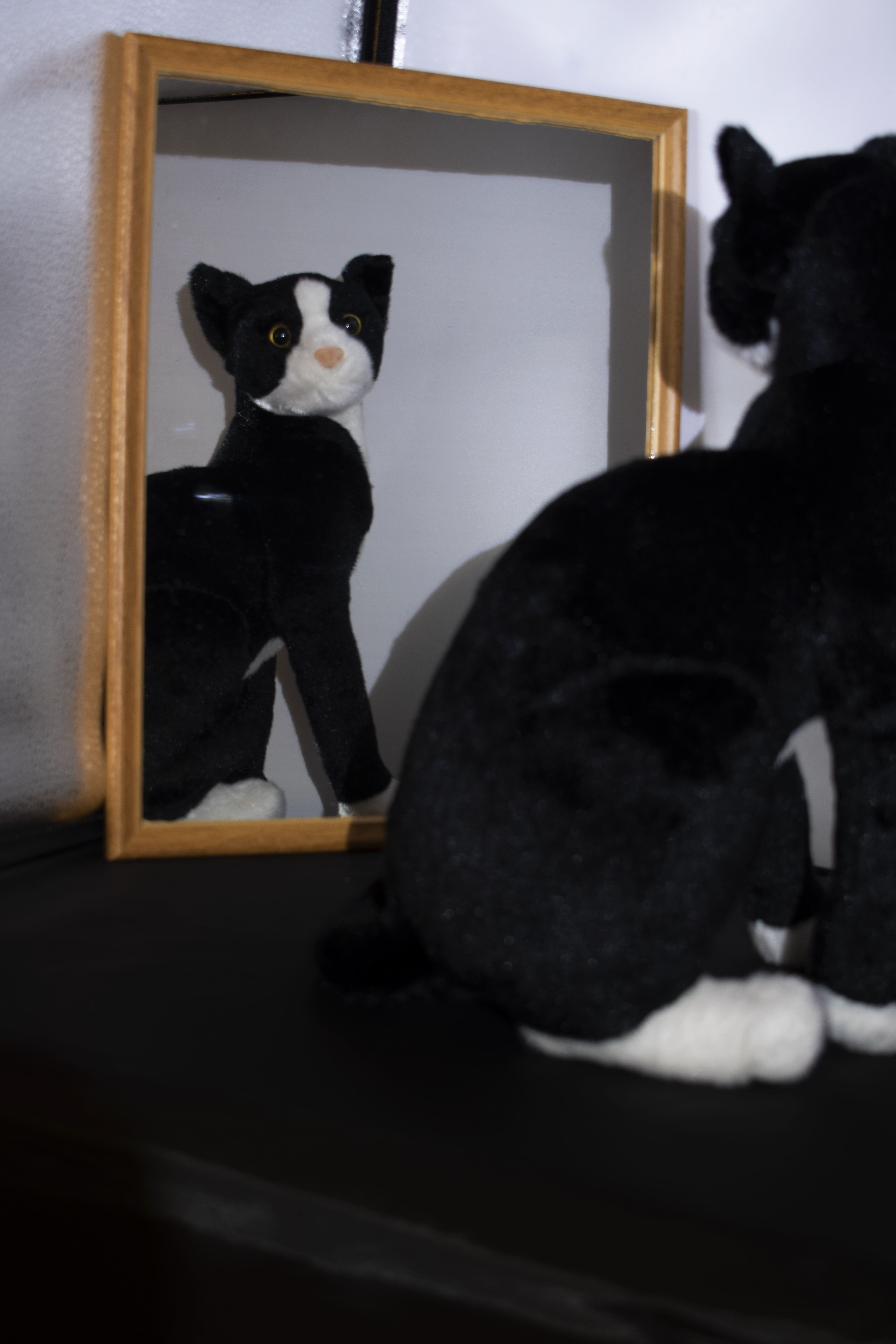 Kat