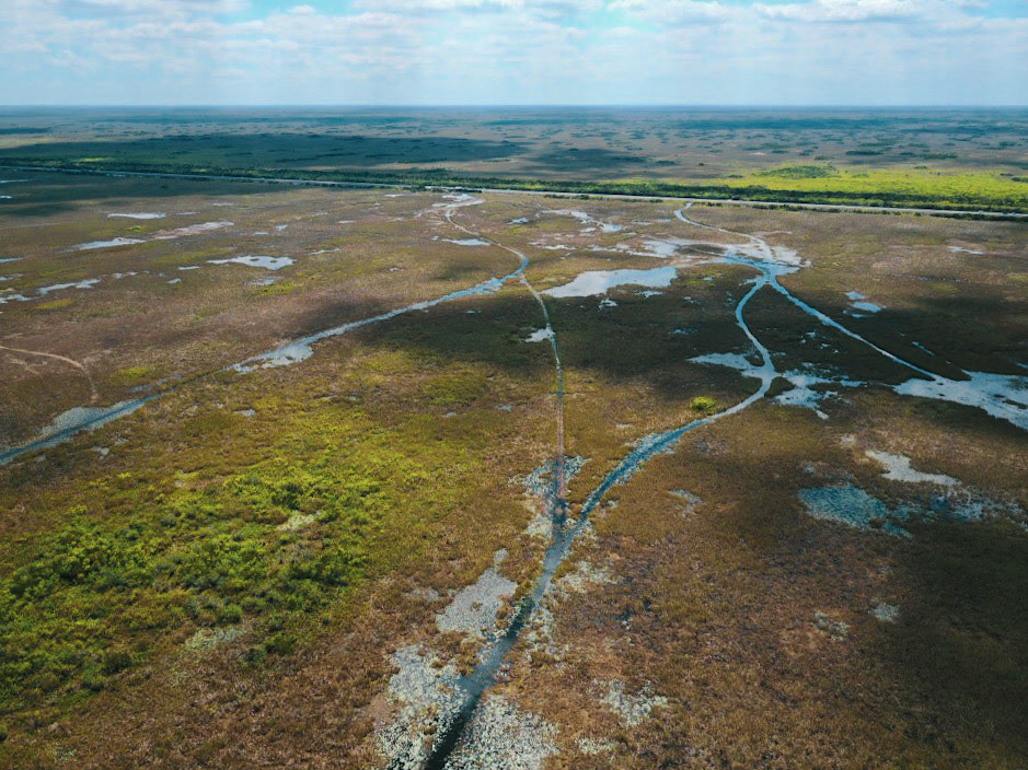 The Everglades, Florida