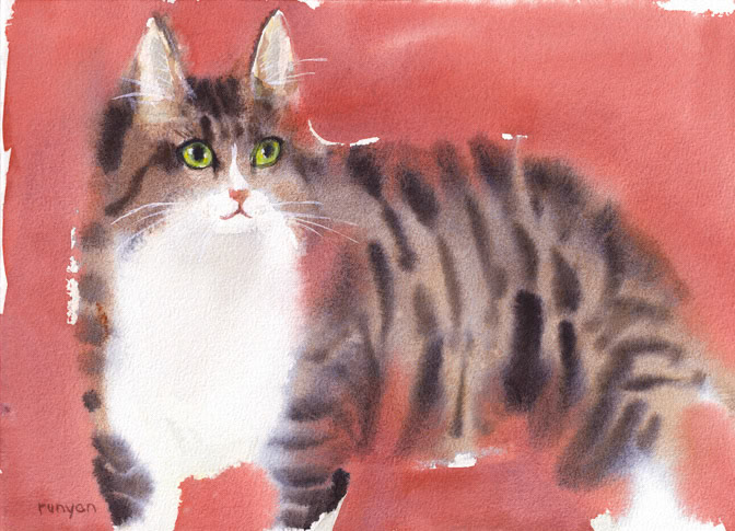 08-06-2022  GREEN EYED TABBY 8.125 x 11.25 _Cat _  Creatif