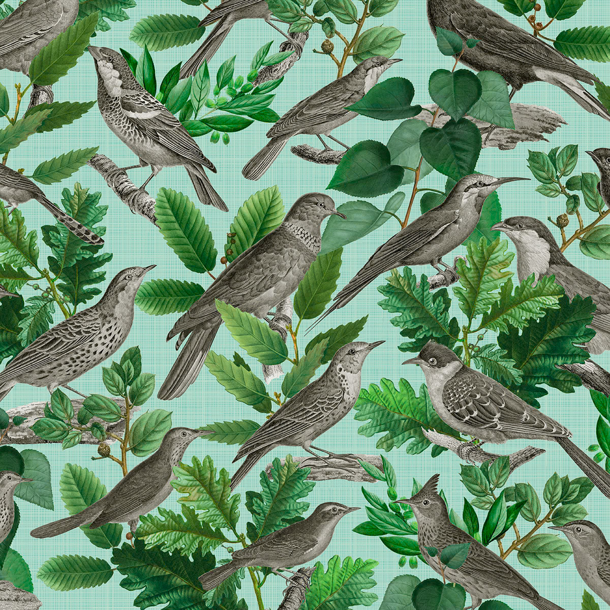 SH_Bird_Botanical Rednered Bird Pattern_Creatif ©Steve Haskamp - Creatif License