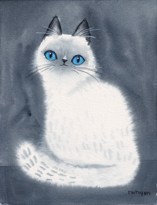 11-05-2022 WHITE FLOOF _Cat _  Creatif
