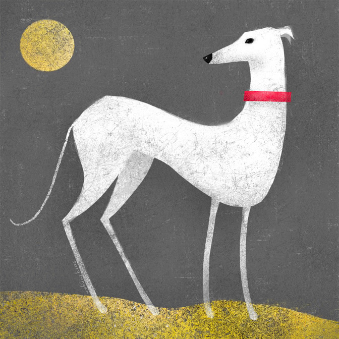 WHITE GREYHOUND 100dpi _Dog _  Creatif ©Terry Runyan - Creatif License