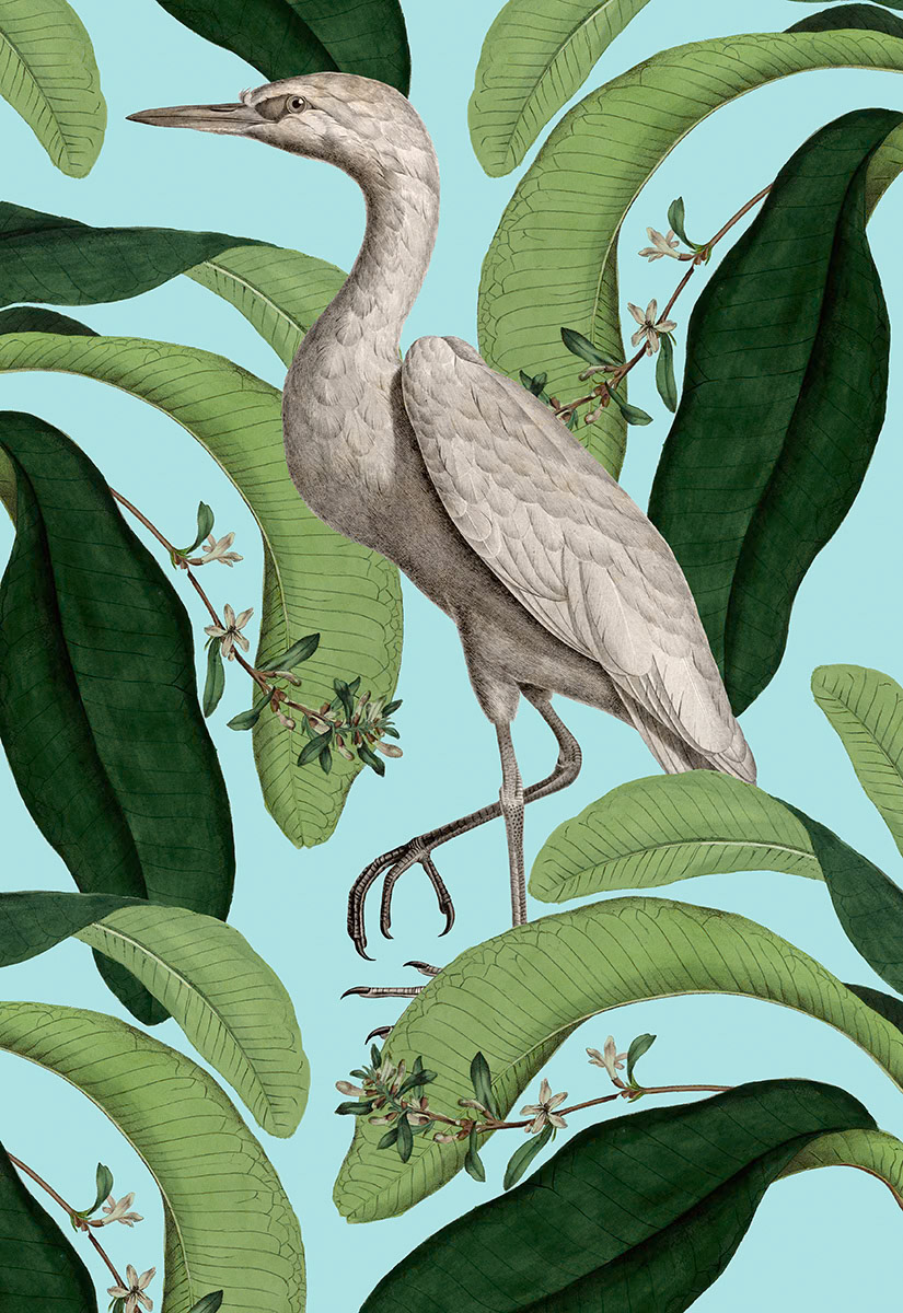 SH_Trop_2428_Botanical Rendered Tropical Bird Layout_Creatif ©Steve Haskamp - Creatif License