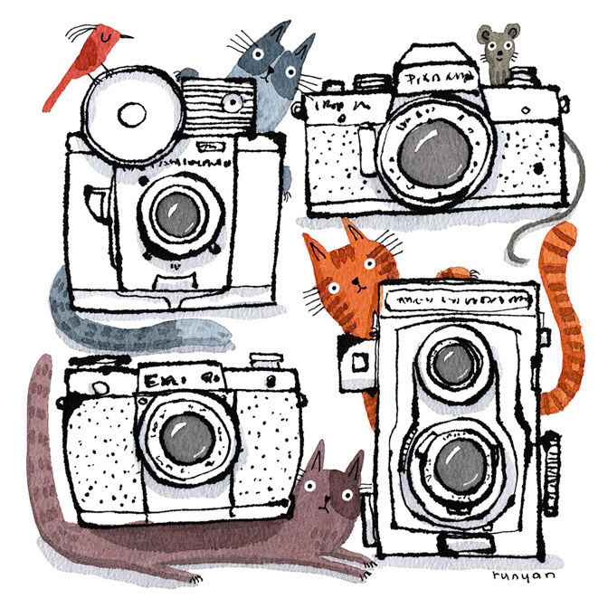 CAMERA CATS 2 - Terry Runyan - Creatif _Cat _  Creatif