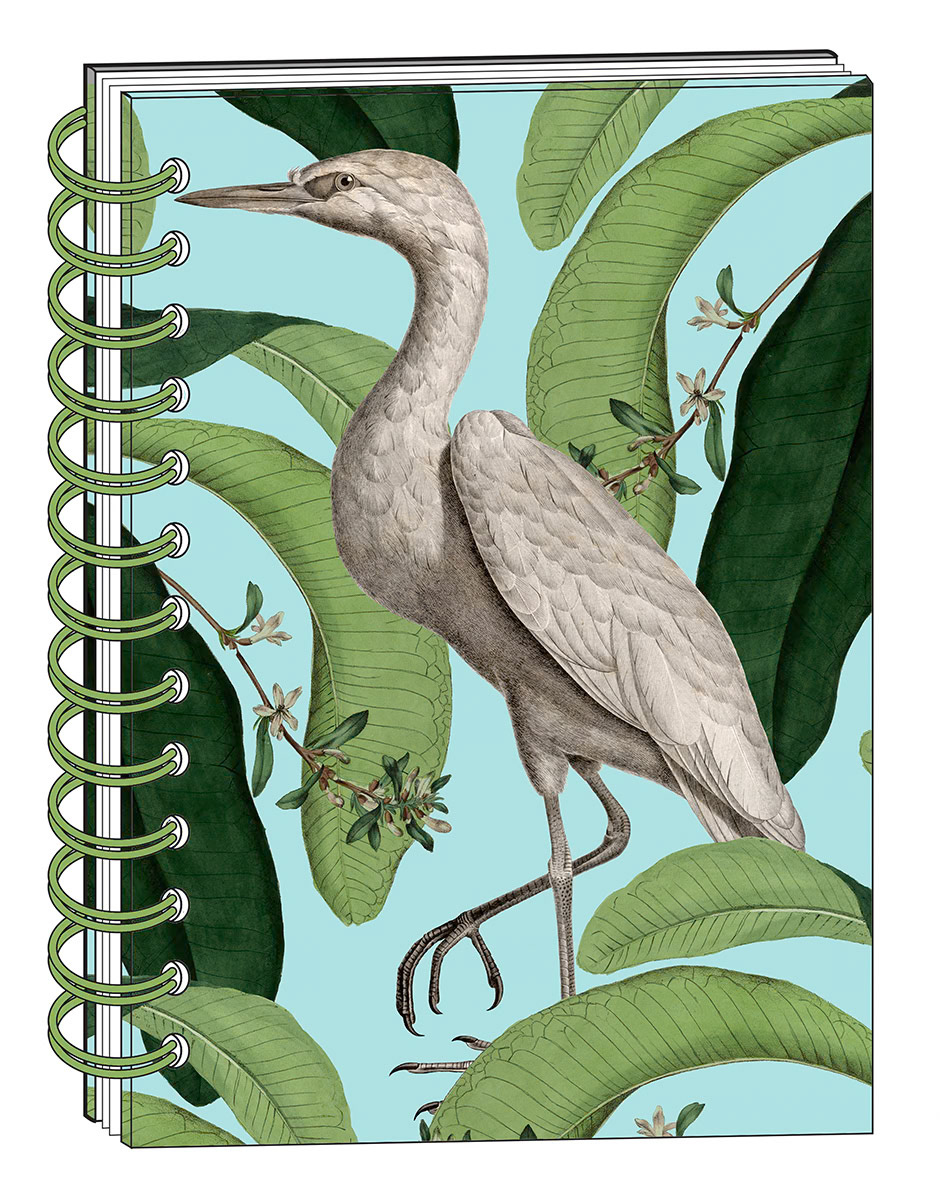SH_Trop_2428_Botanical Rendered Tropical Bird Layout Mug_Creatif ©Steve Haskamp - Creatif License