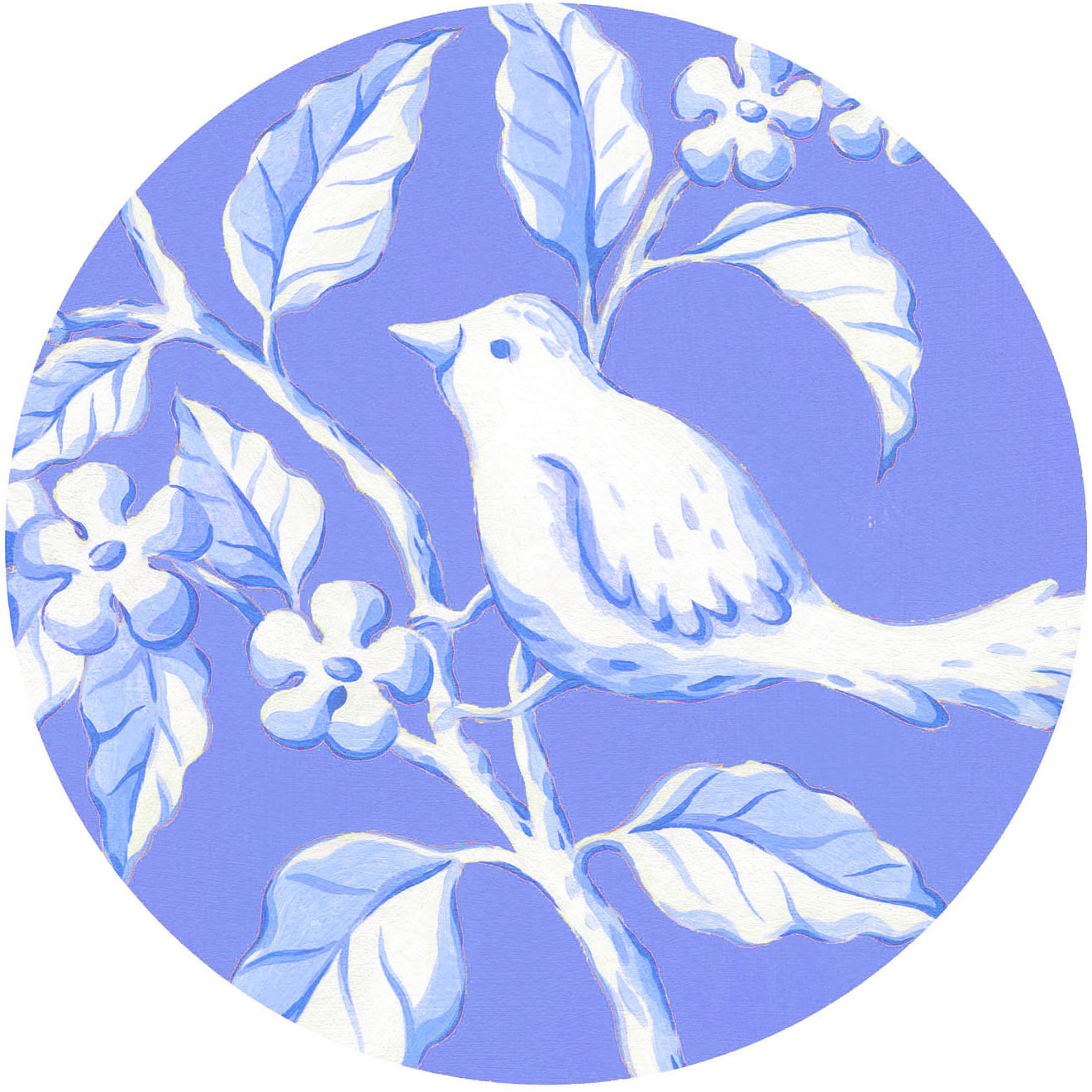 SH_Bird_655a-ToileBirdPlate1R2 ©Steve Haskamp - Creatif License