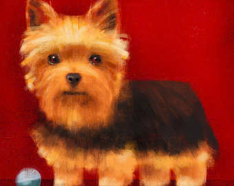 TR-il_340x270-1423628015_ini2-Creatif _Dog _  Creatif