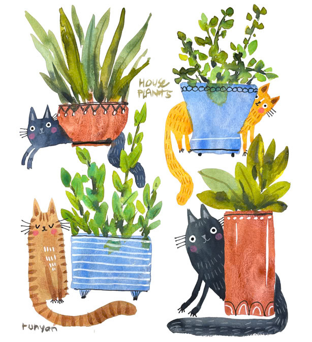 05-15-2022 HOUSE PLANT FRIENDS _Cat- Floral- Garden _  Creatif