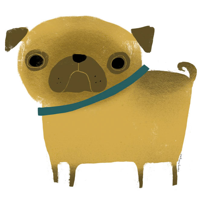 PUG WITH BLUE COLLAR _Dogs _  Creatif ©Terry Runyan - Creatif License